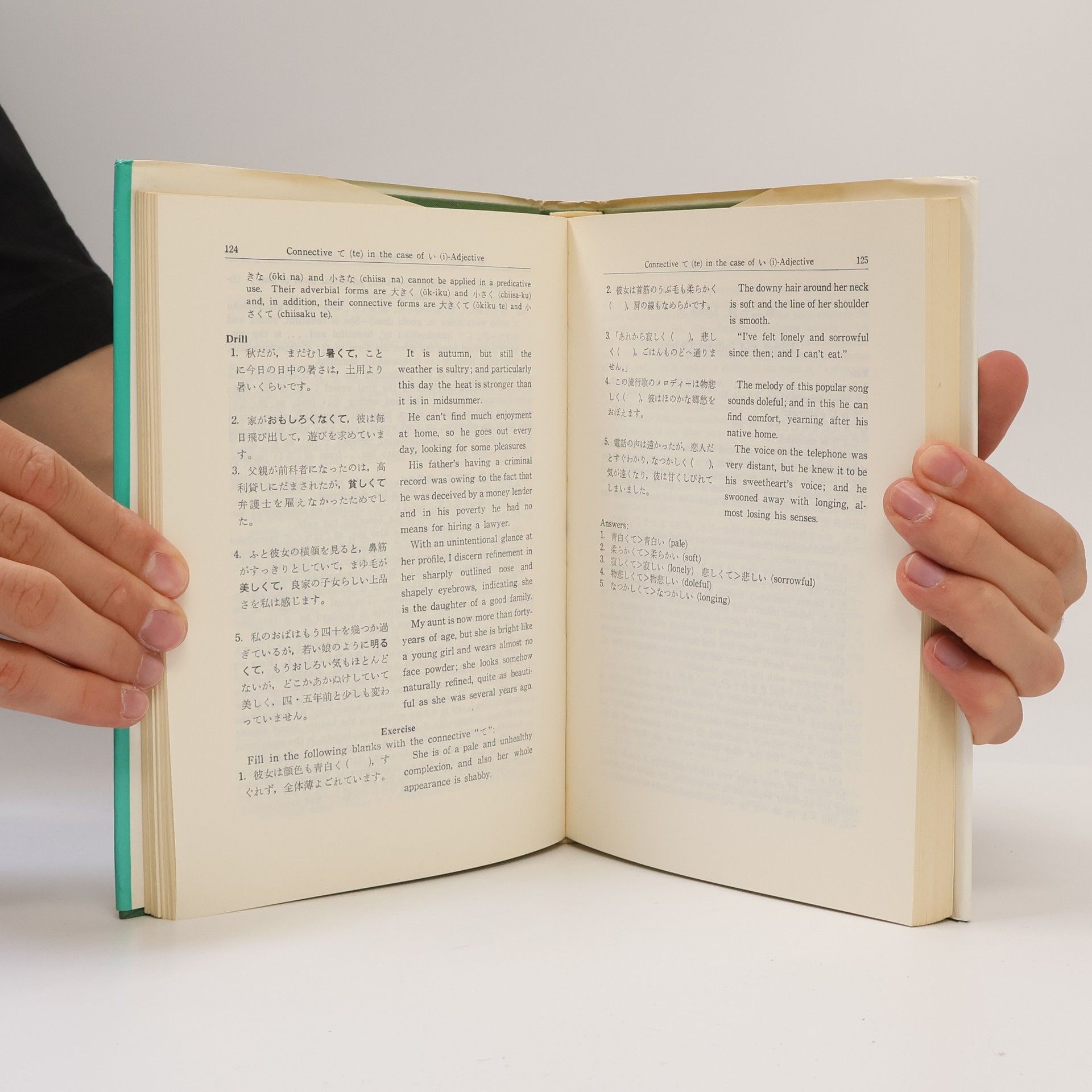 Hideichi Ono Japanese Grammar