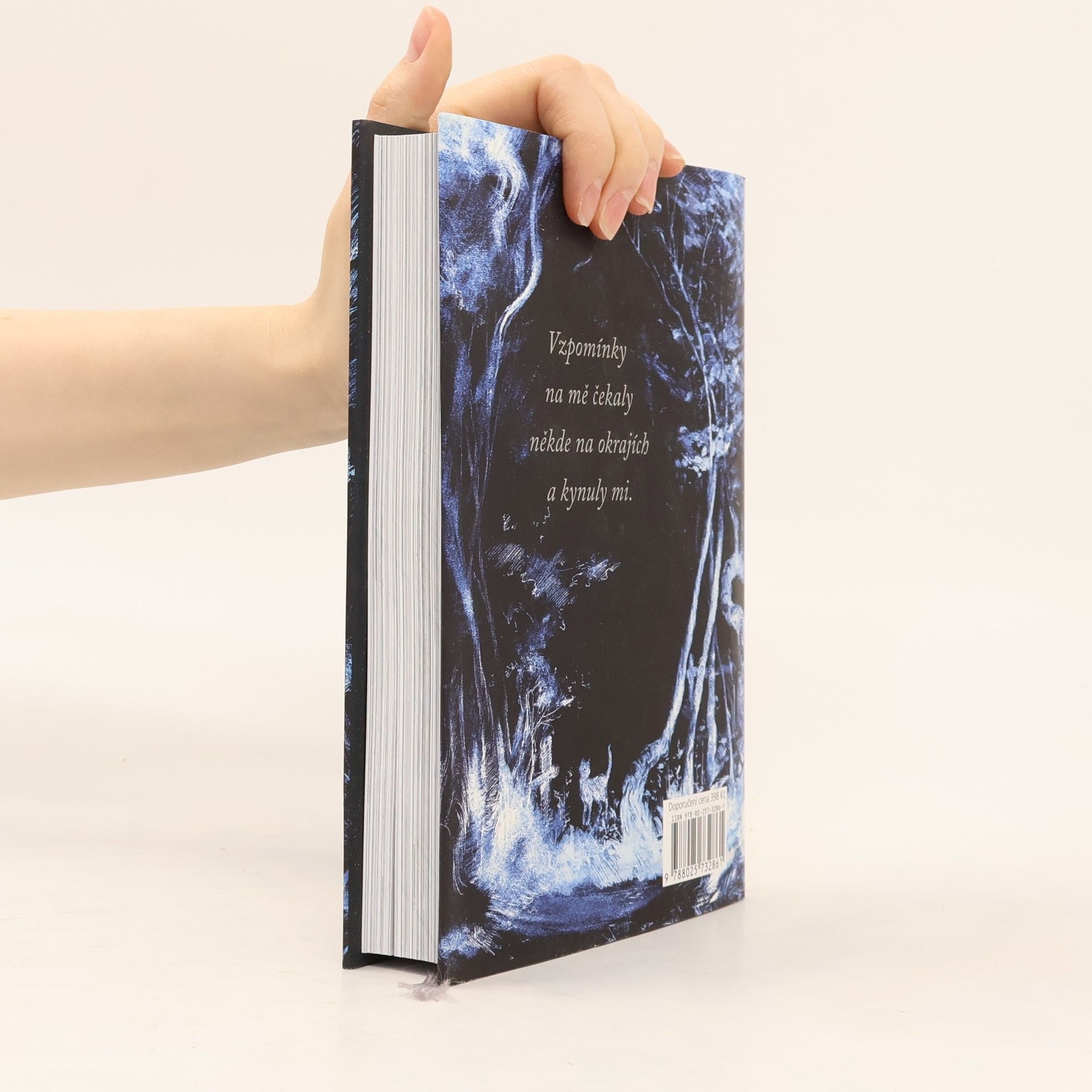 Neil Gaiman Oceán na konci cesty