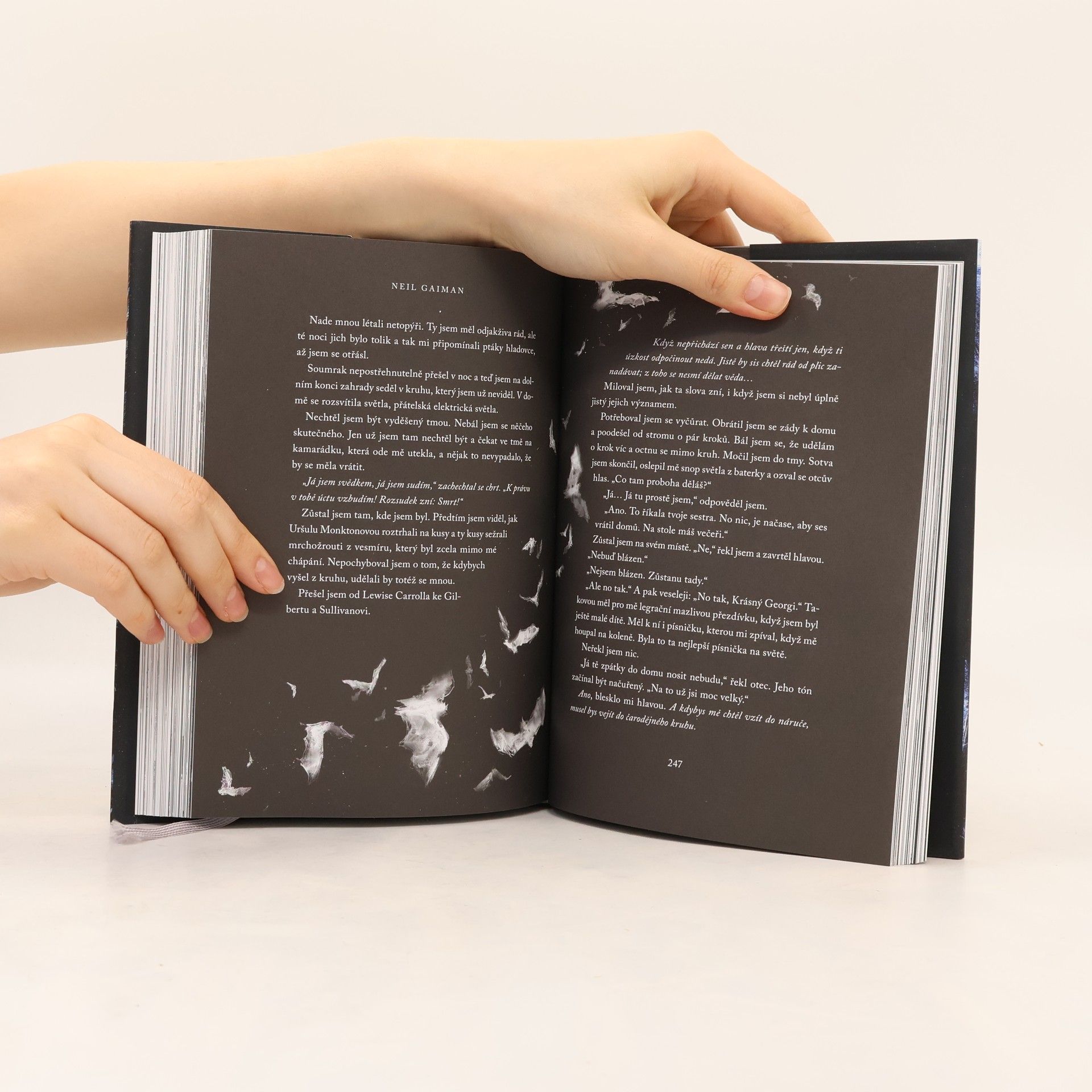Neil Gaiman Oceán na konci cesty
