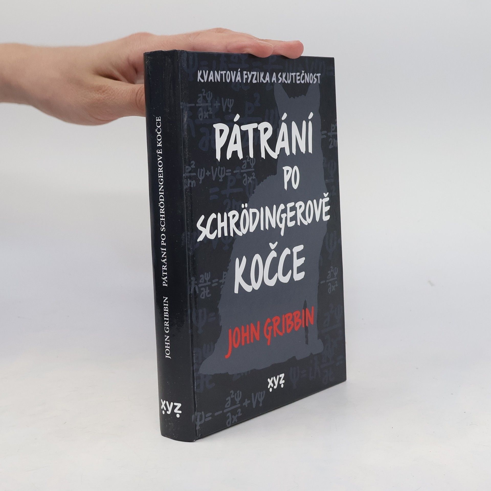 Pátrání po Schrödingerově kočce