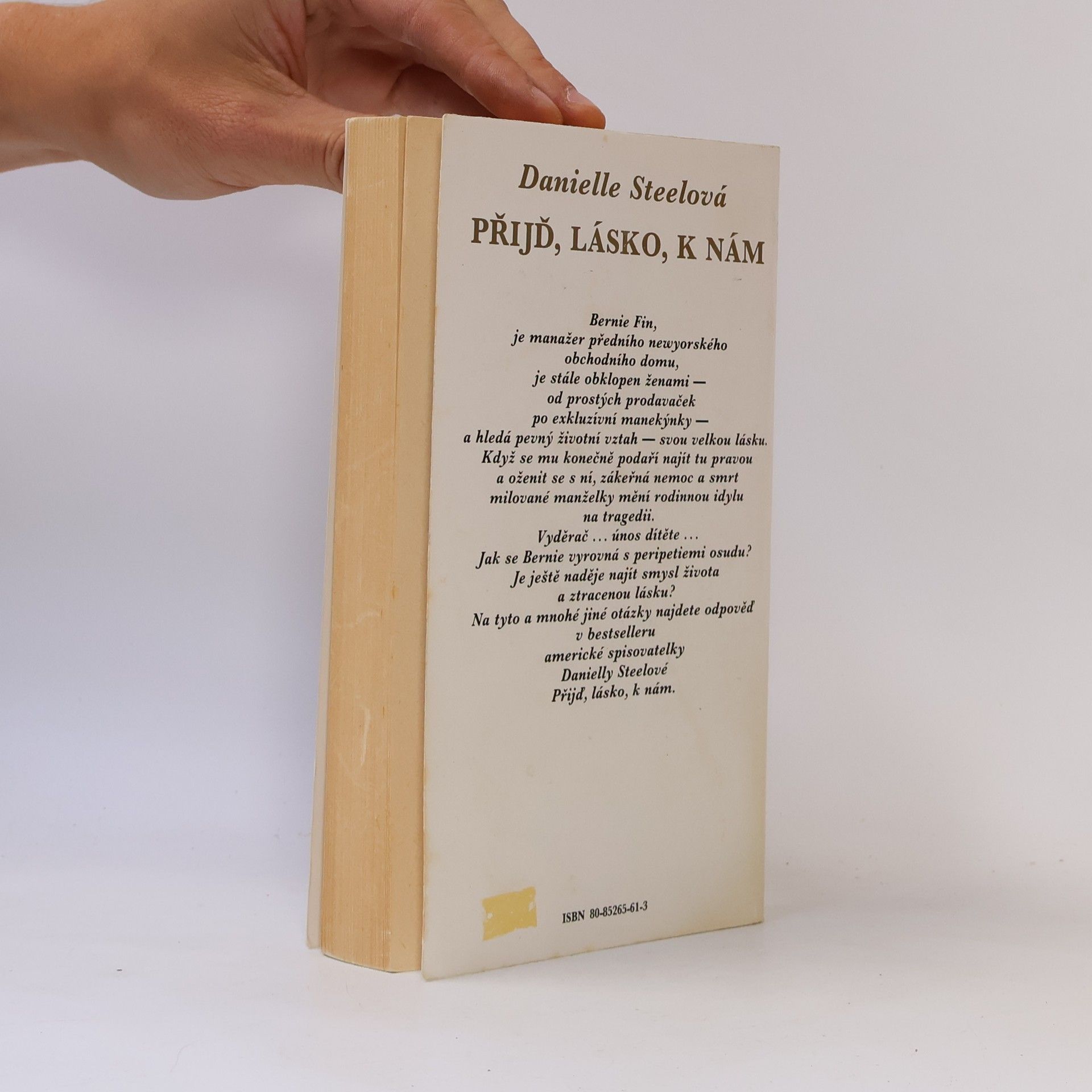 Danielle Steel Príď, láska, k nám