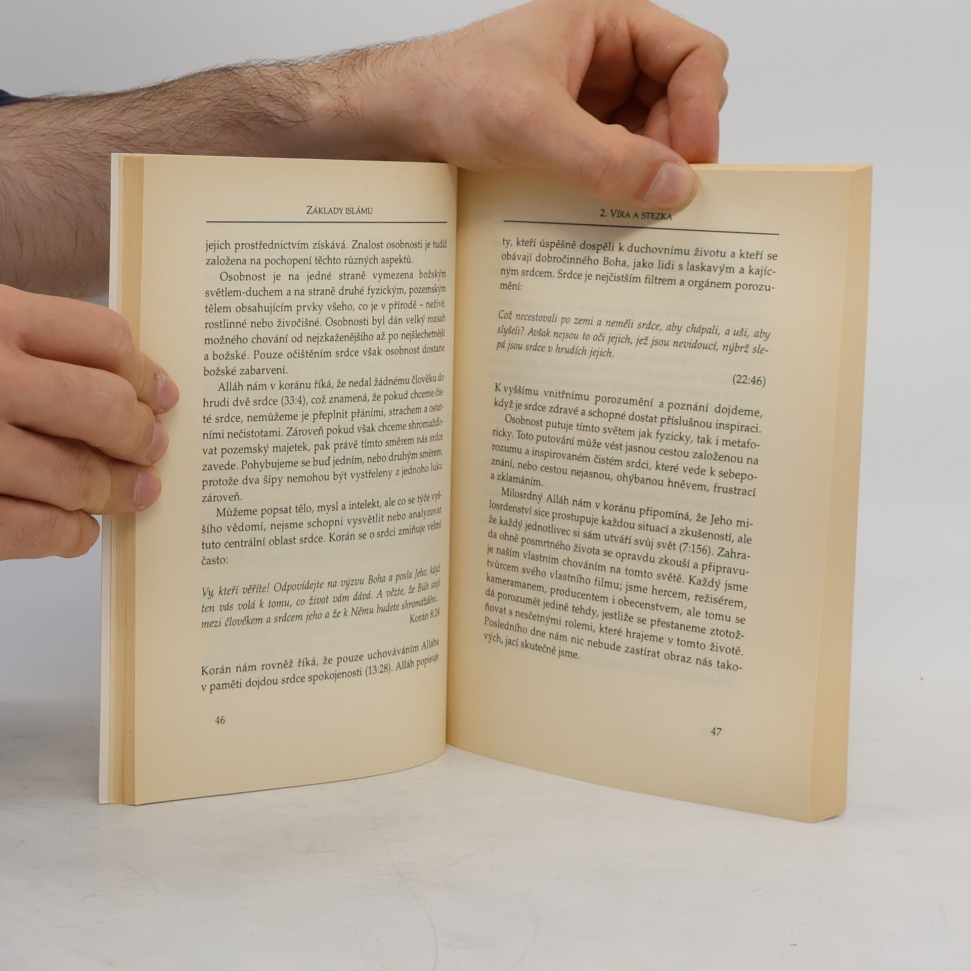 Fadhlalla Haeri Základy islámu. Tradice, historie, vývoj, současnost