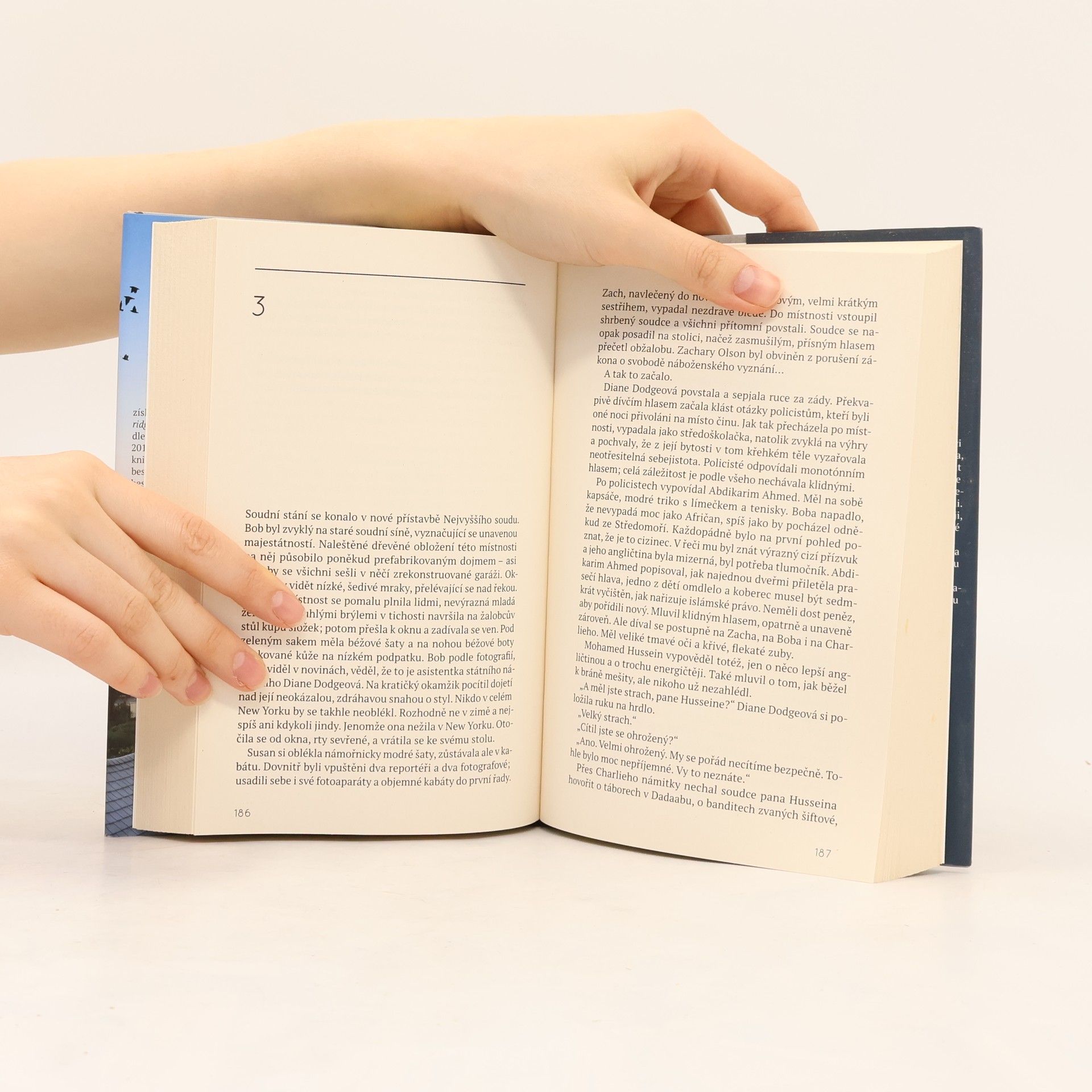 Elizabeth Strout Burgessovi chlapci