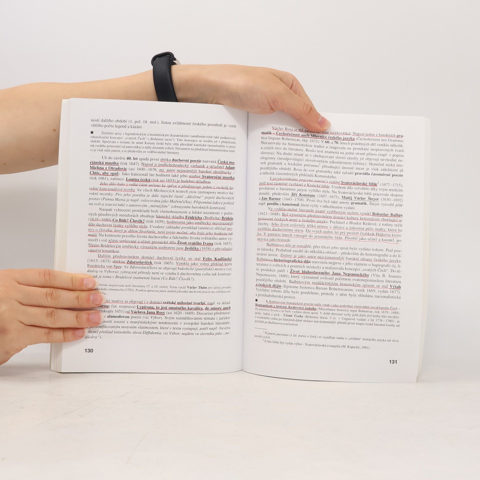 Michaela Hashemi Literatura I, Výklad, interpretace, literární teorie
