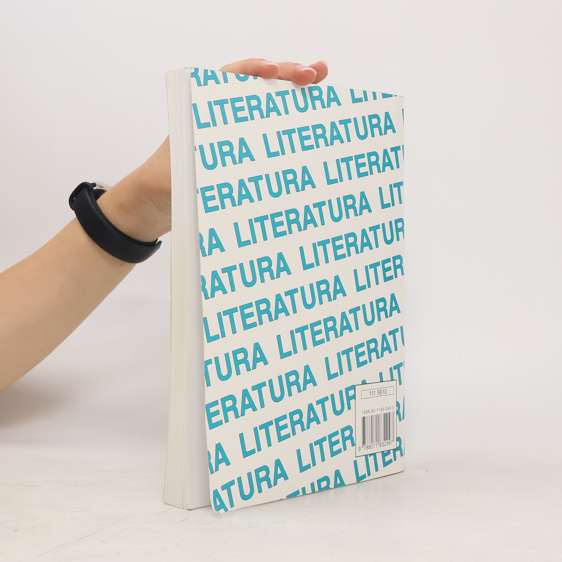 Michaela Hashemi Literatura I, Výklad, interpretace, literární teorie