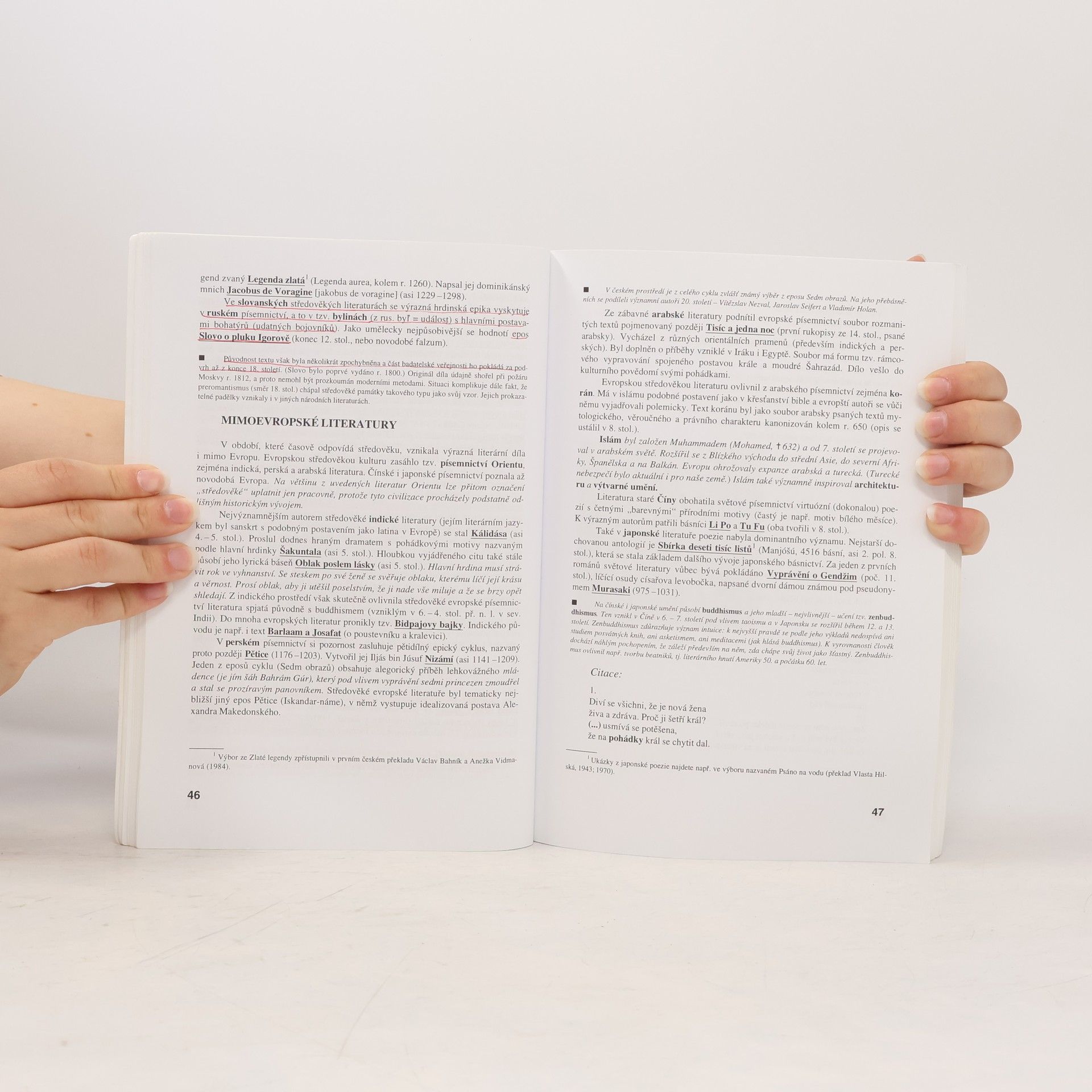 Michaela Hashemi Literatura I, Výklad, interpretace, literární teorie