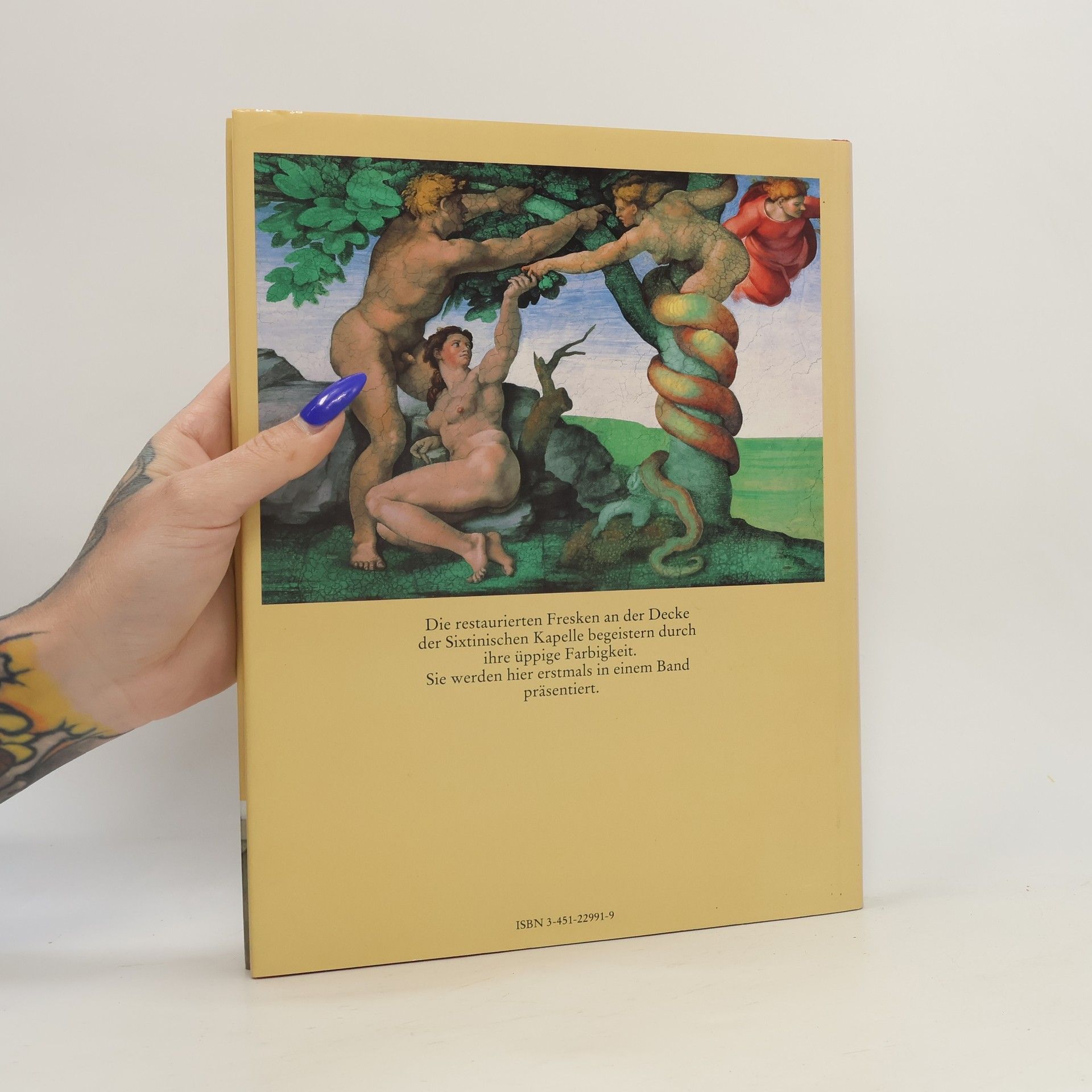 Robin Richmond Michelangelo und die Sixtinische Kapelle