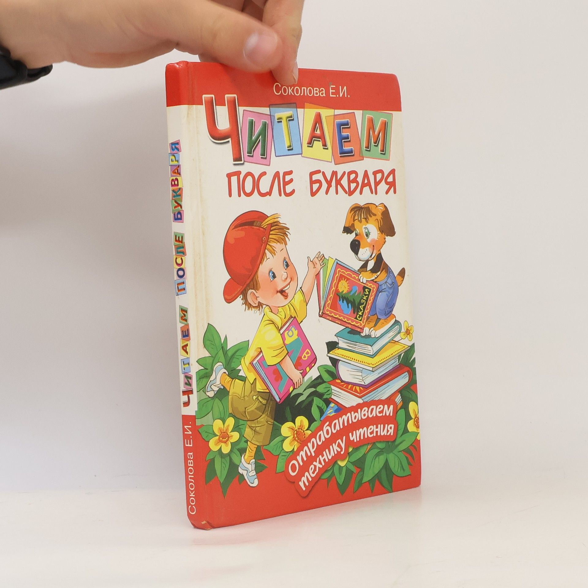 Елена Ивановна Соколова Читаем после букваря