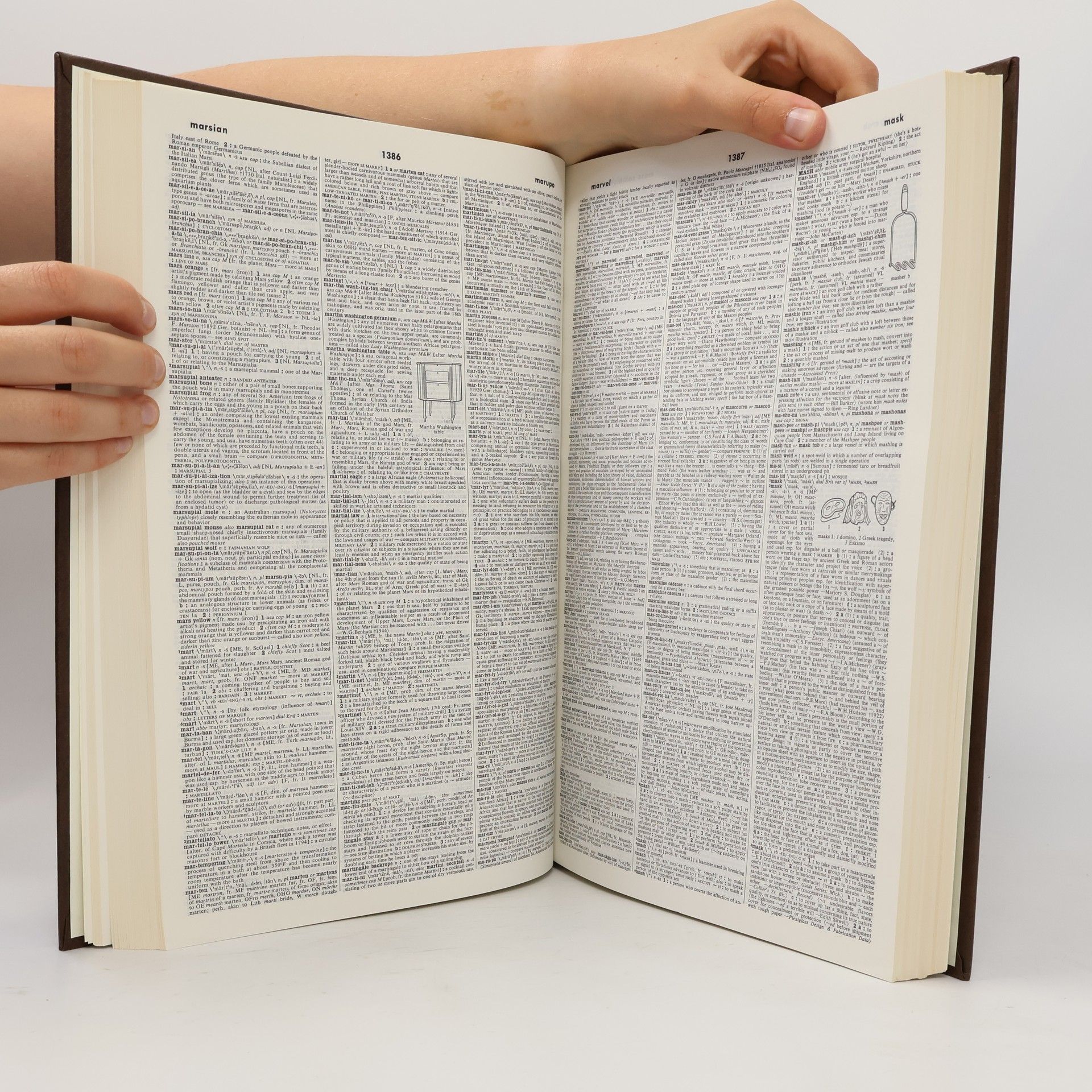 Philip Babcock Gove Webster's third new international dictionary of the English language