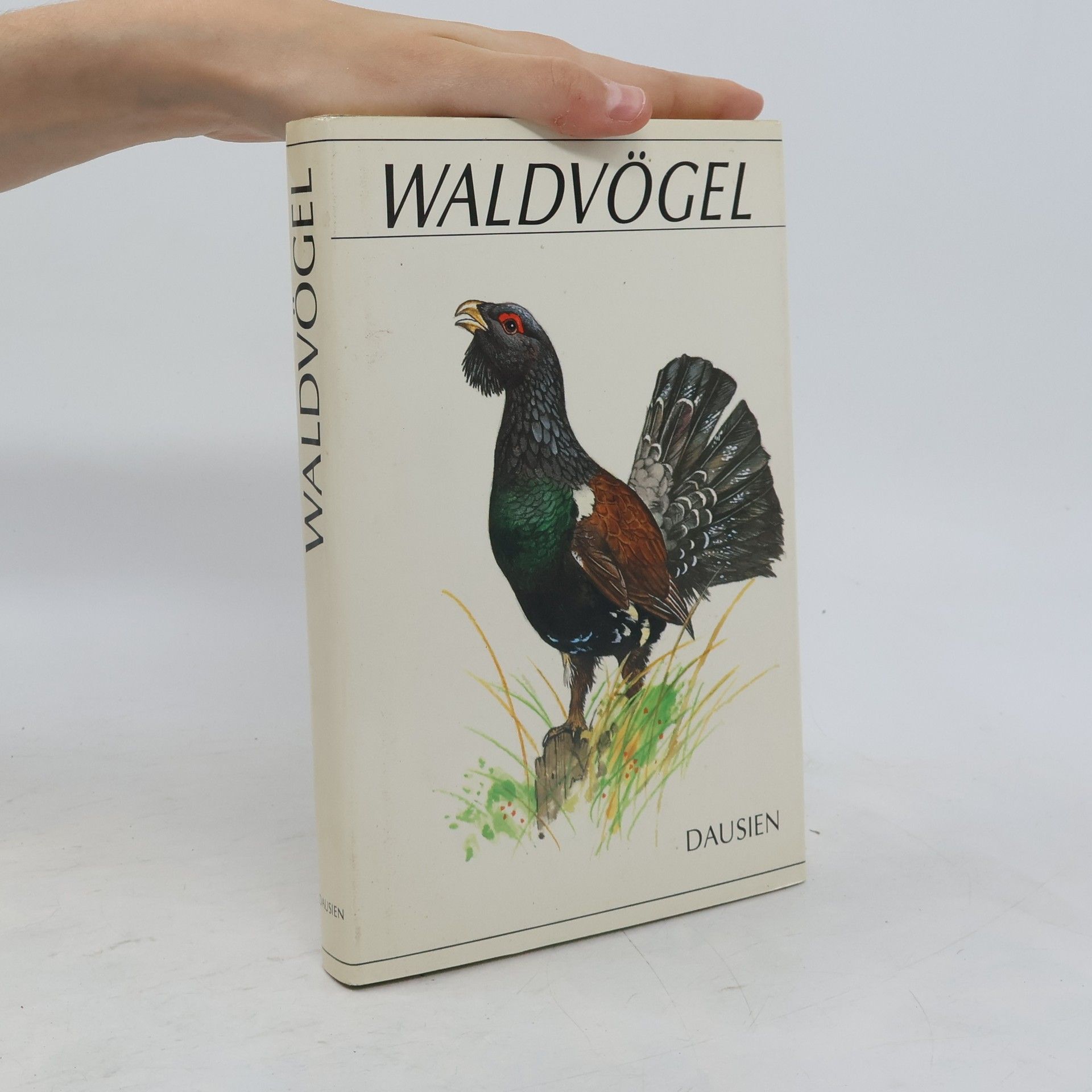 Waldvögel