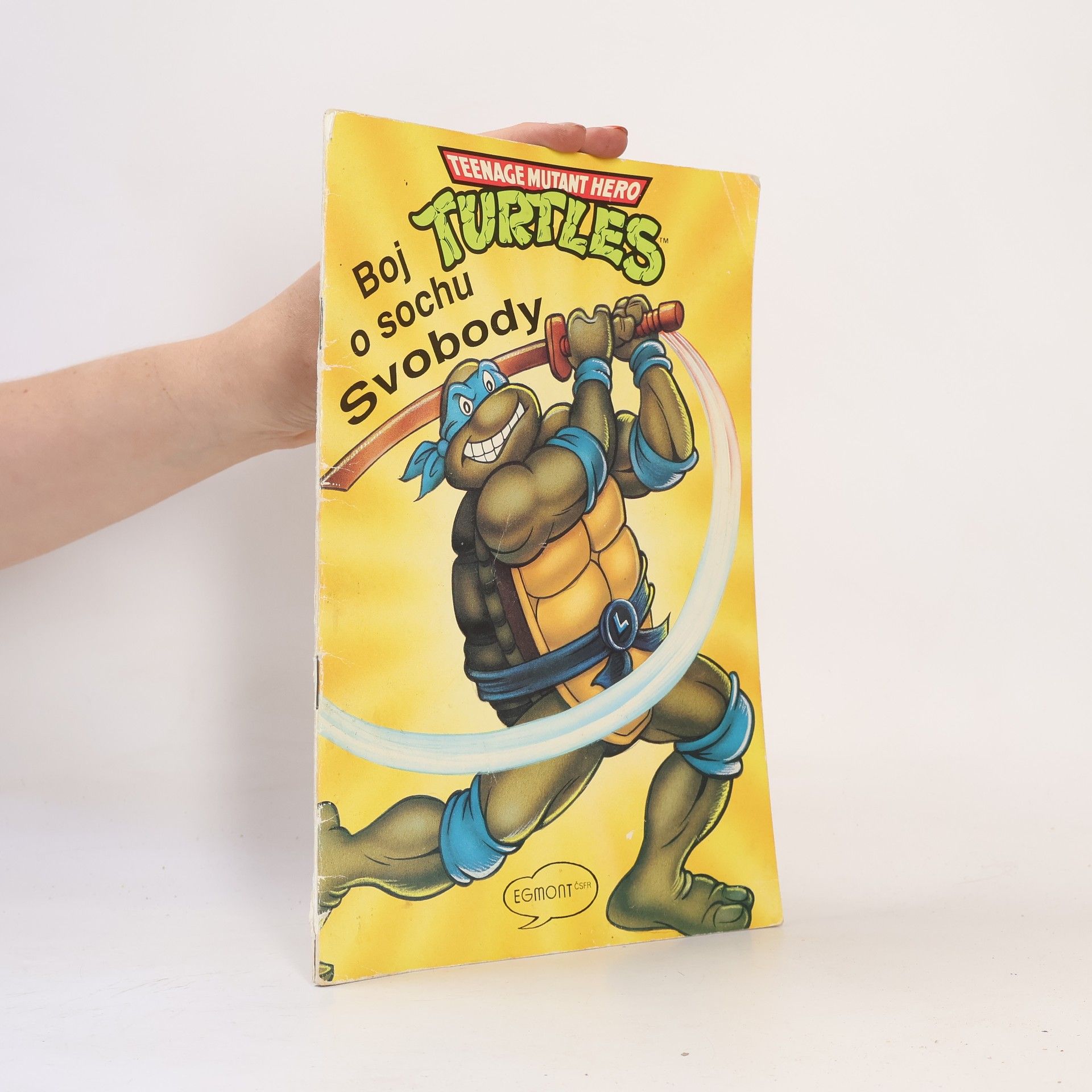 Ryan Brown Teenage Mutant Hero Turtles 8: Boj o sochu Svobody