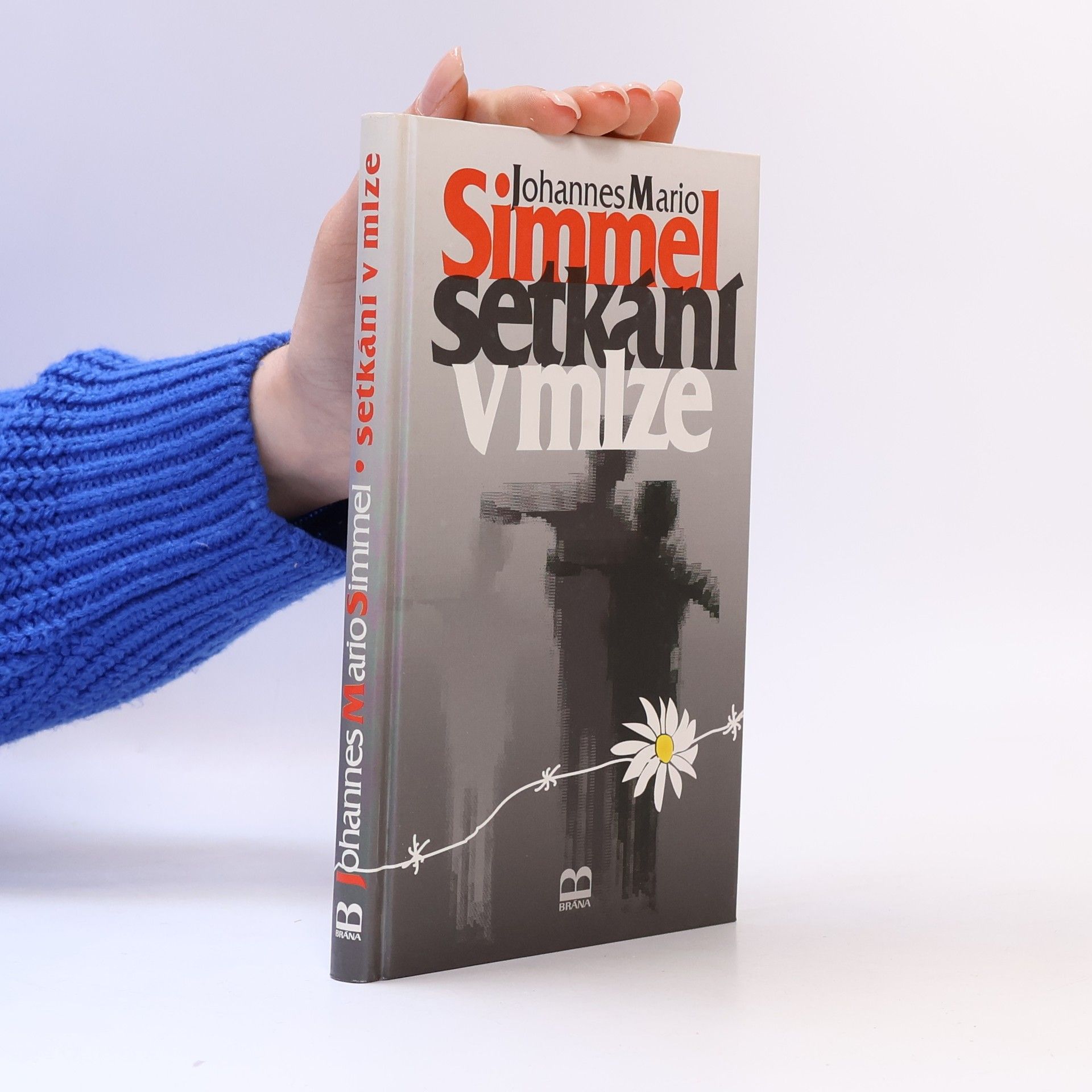 Johannes Mario Simmel Setkání v mlze