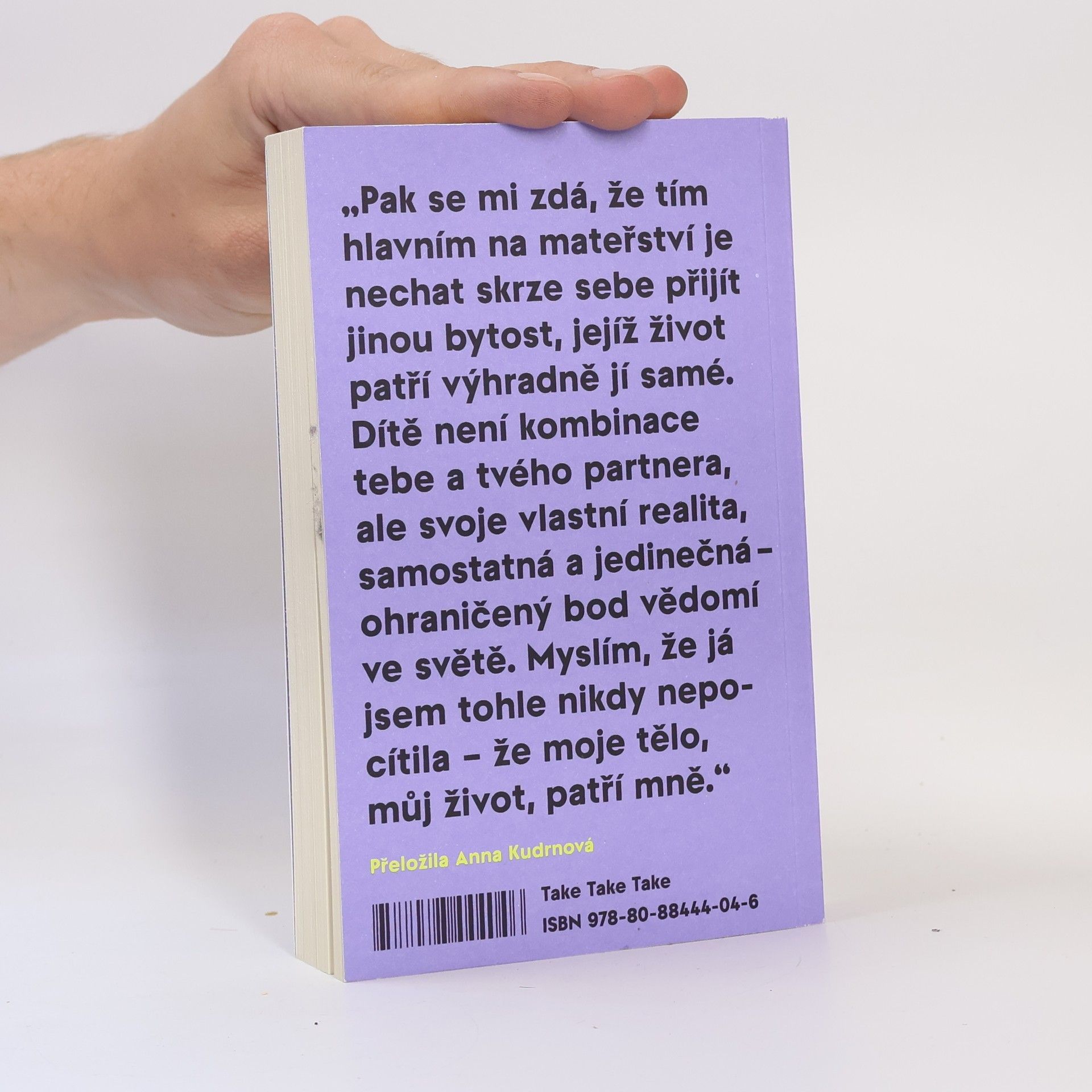 Sheila Heti Mateřství