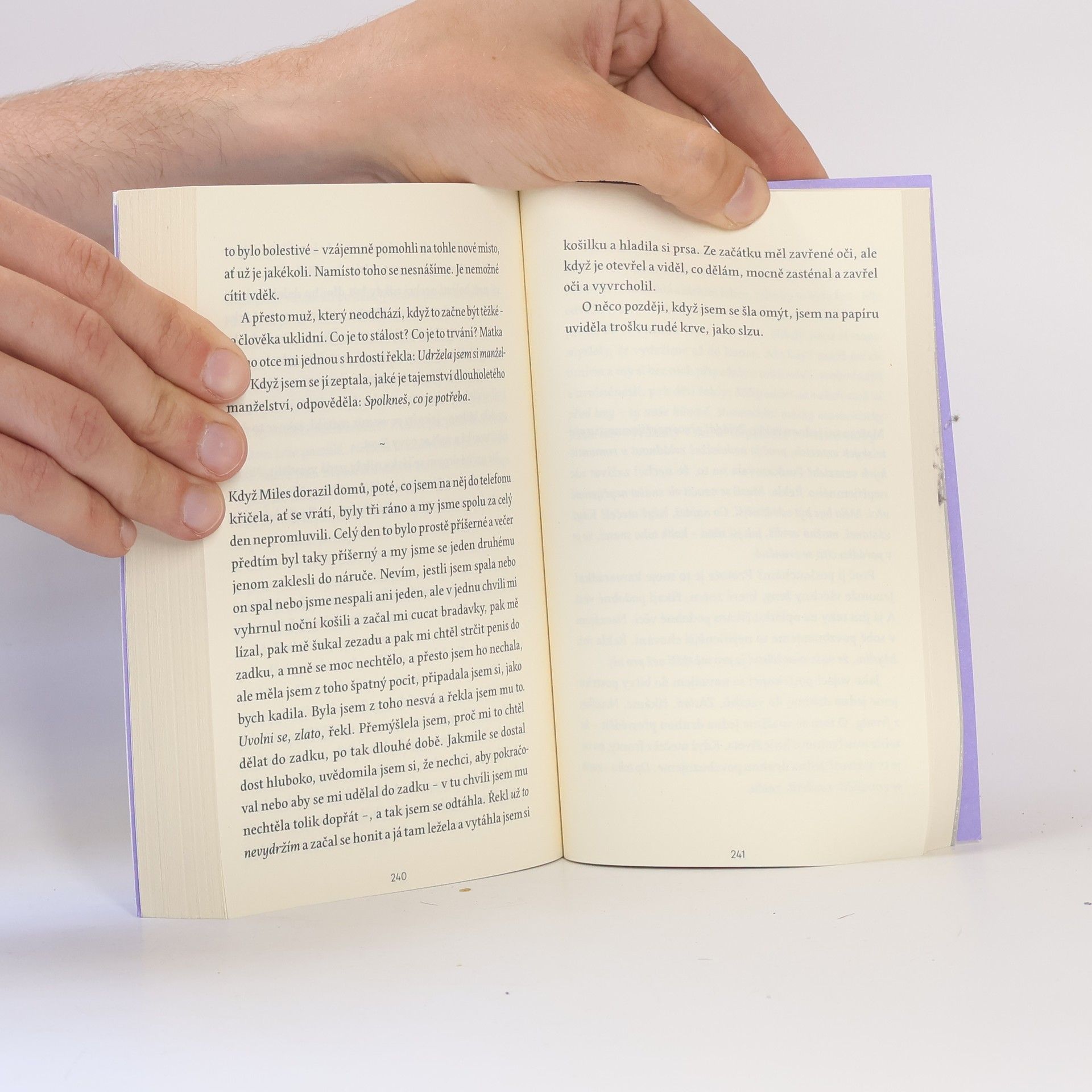 Sheila Heti Mateřství