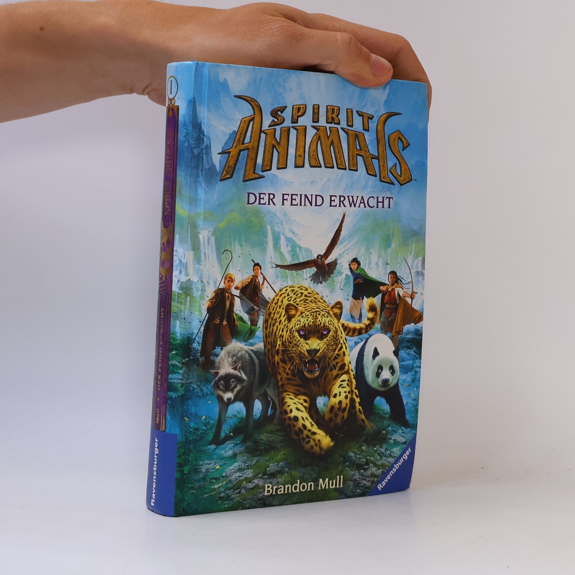 Brandon Mull Spirit Animals 1