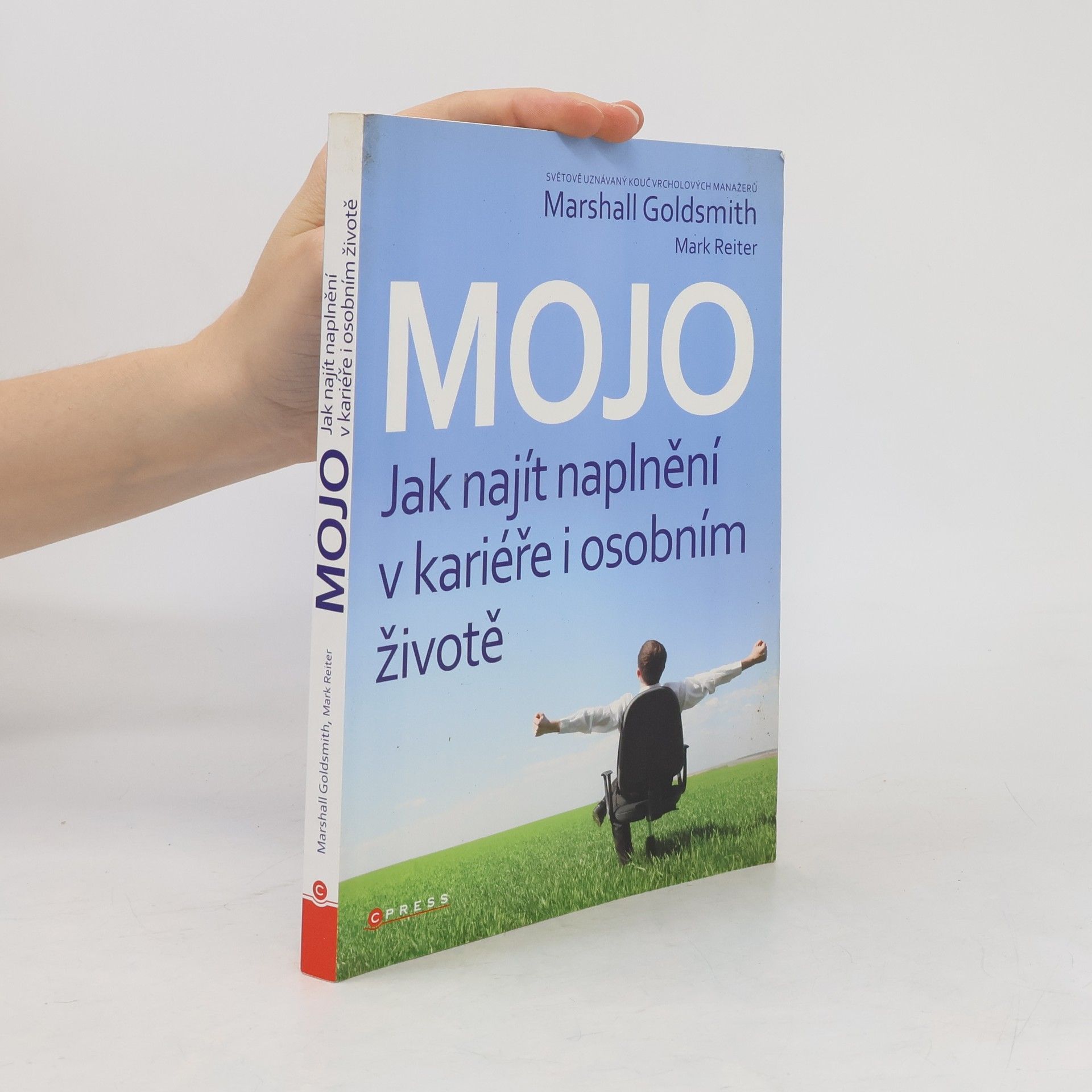 Mojo. Jak najít naplnění v kariéře i osobním životě