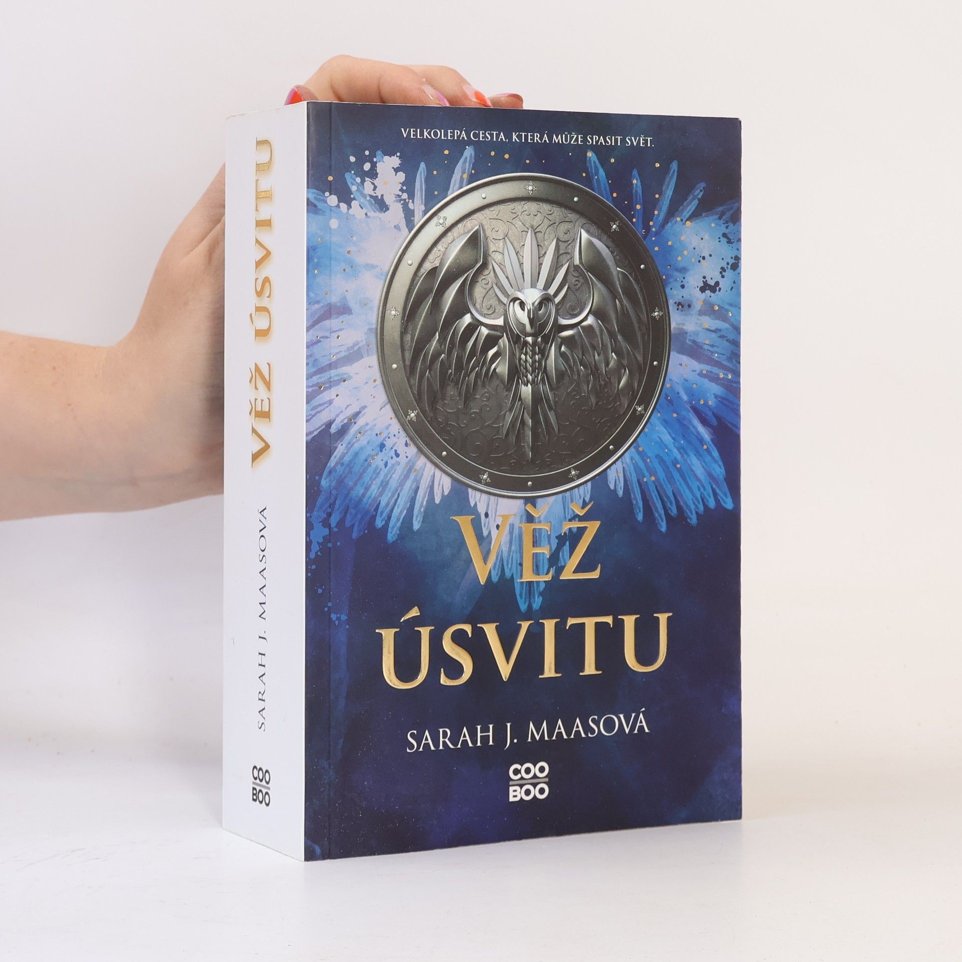 Sarah J. Maasová Věž úsvitu