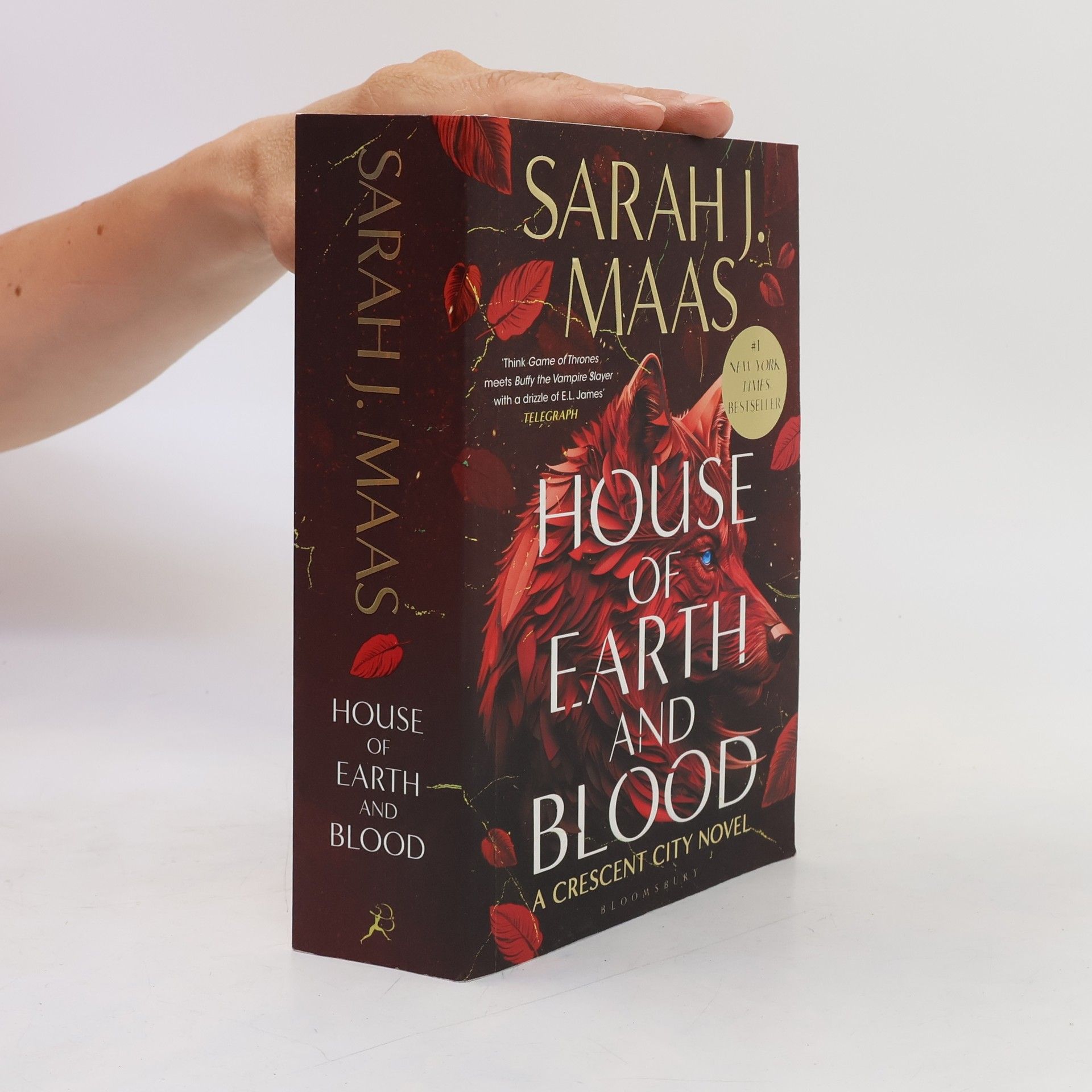 Sarah J. Maas House of Earth and Blood