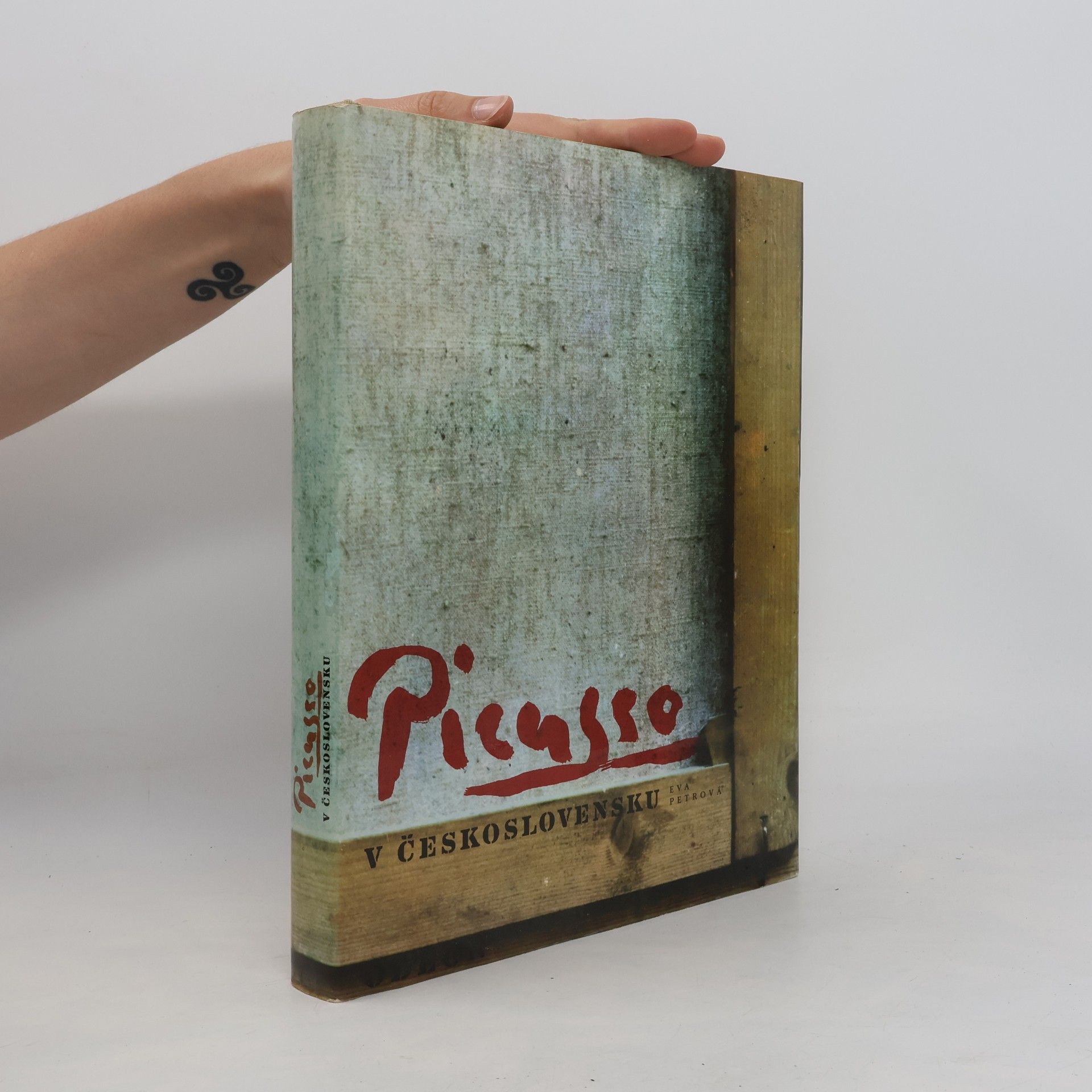 Eva Petrová Picasso v Československu
