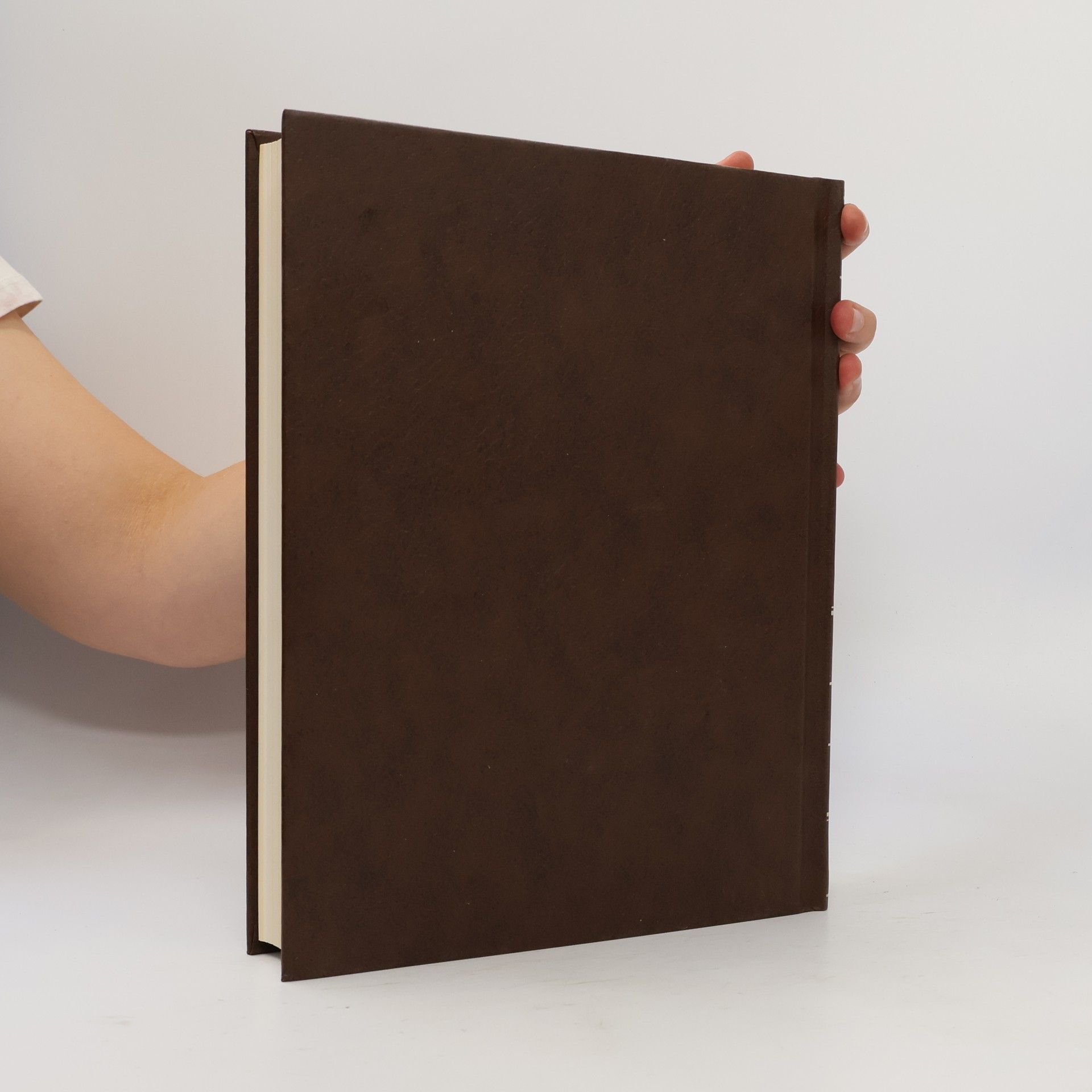 Collectif d'auteurs The New Encyclopædia Britannica 15