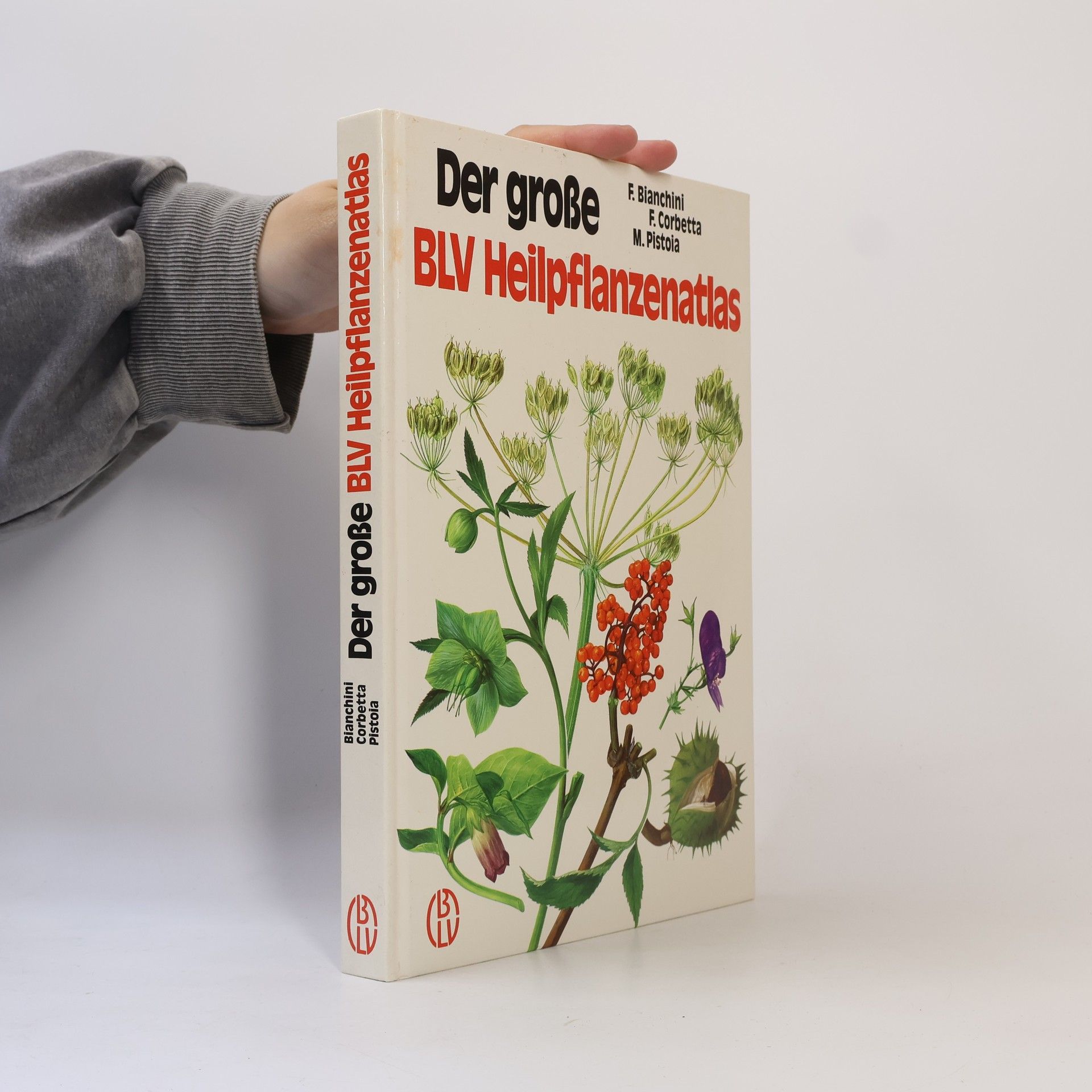 Francesco Bianchini Der grosse BLV-Heilpflanzenatlas