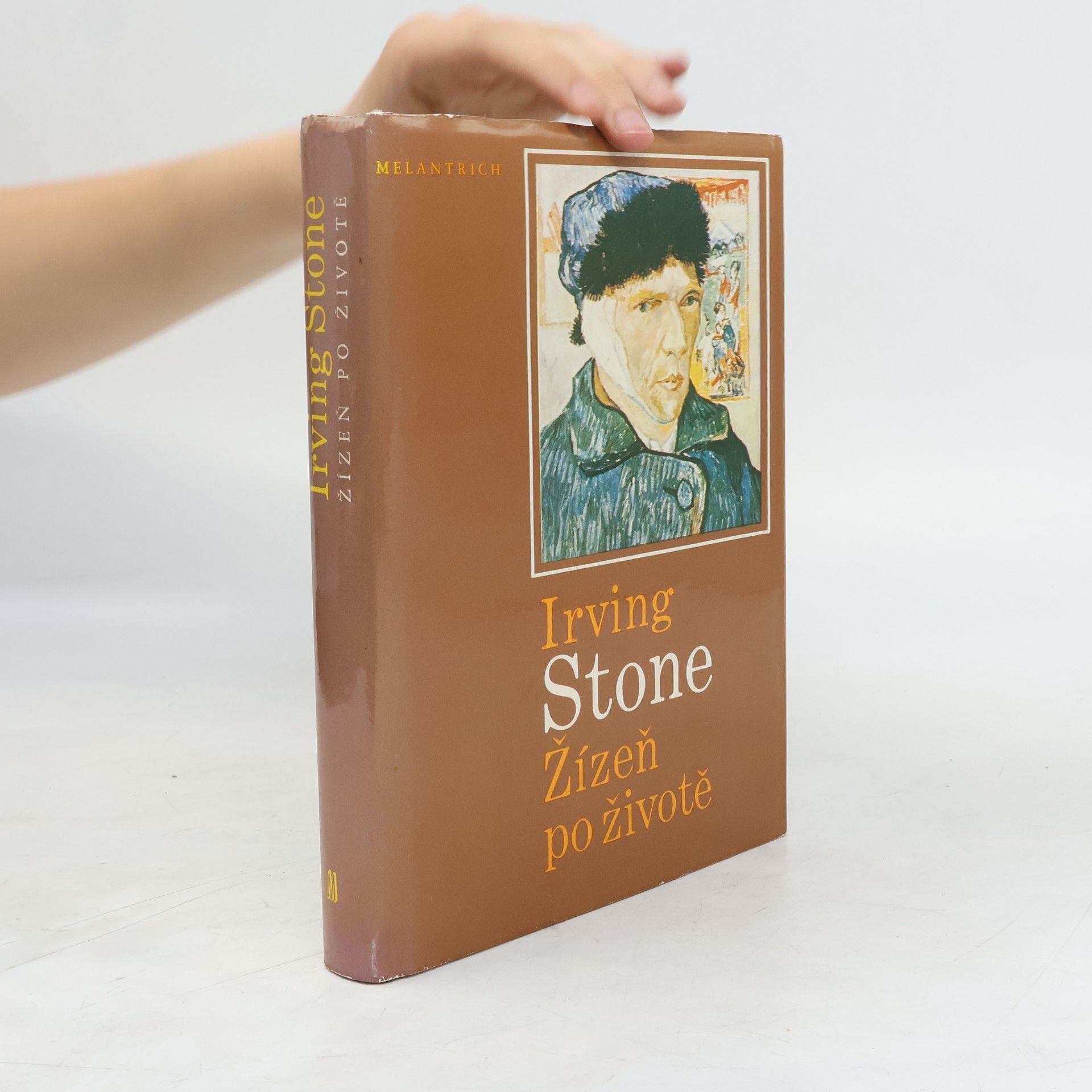 Irving Stone Žízeň po životě