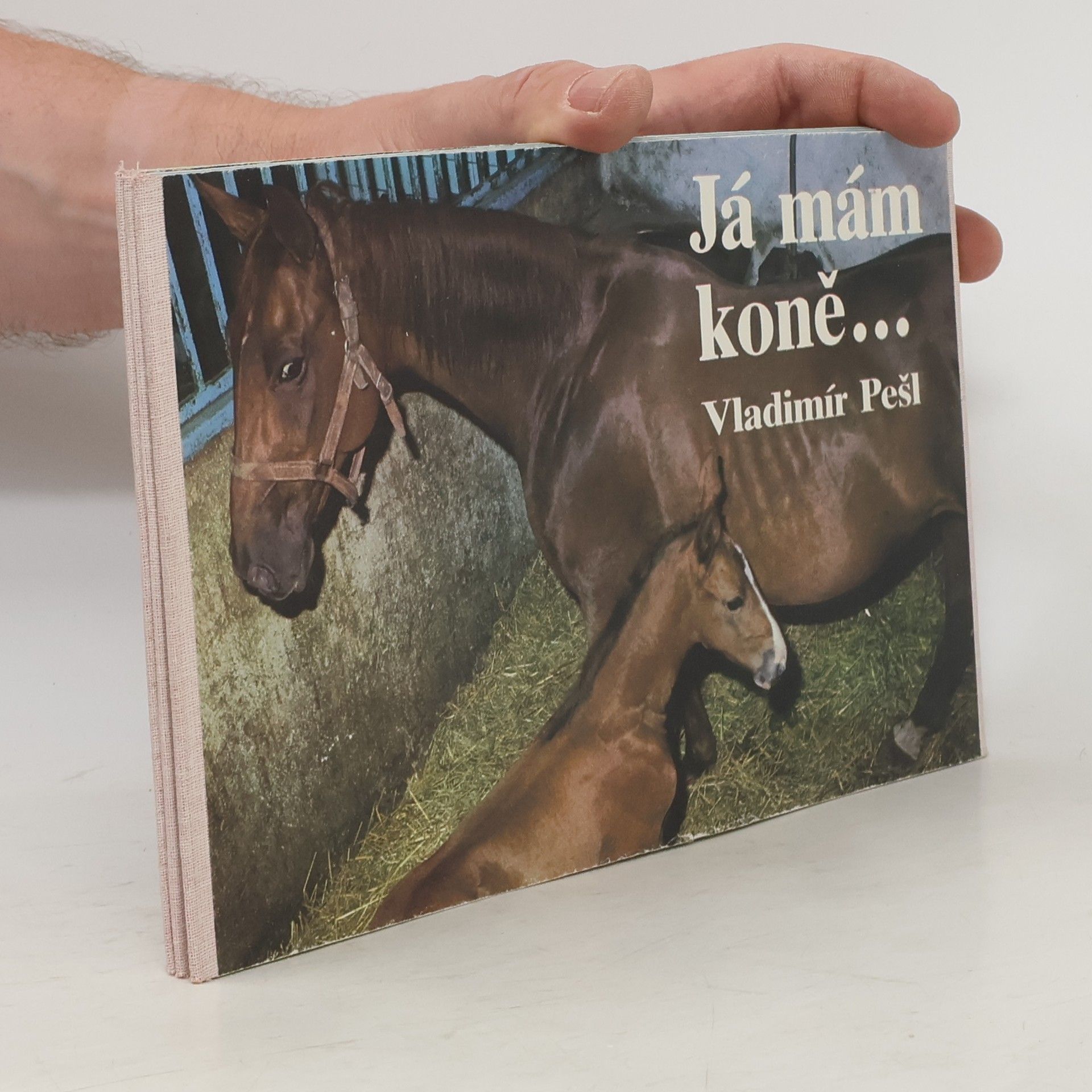 Vladimír Pešl Já mám koně...