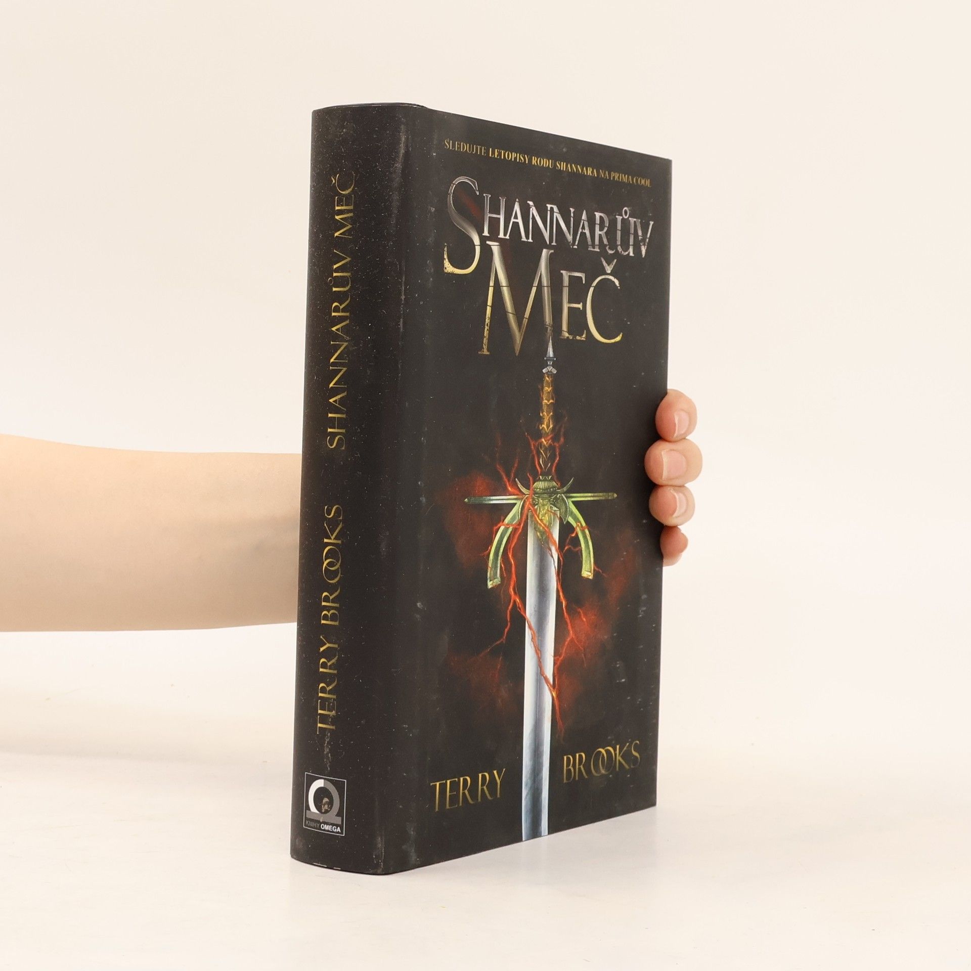 Terry Brooks Shannarův meč