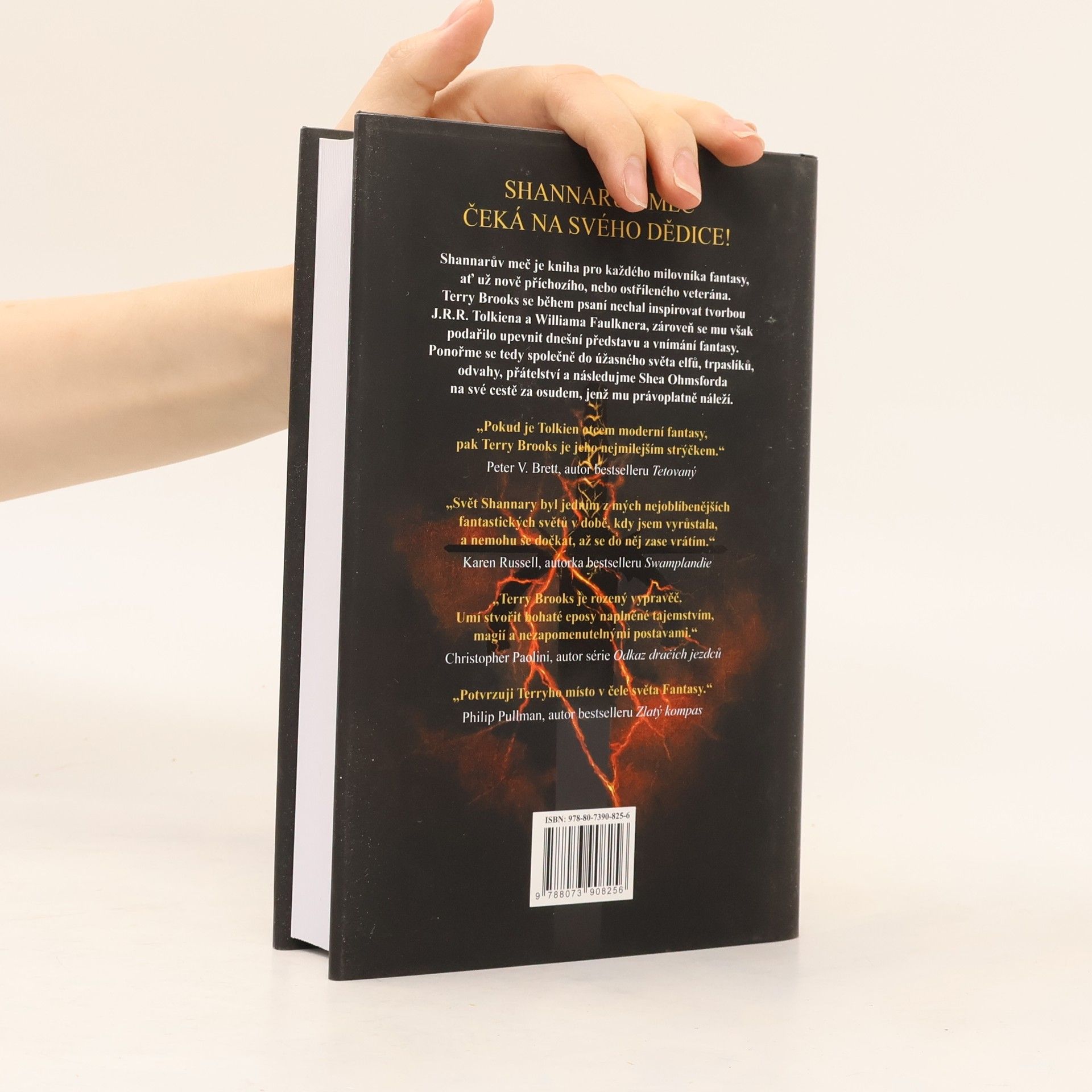 Terry Brooks Shannarův meč