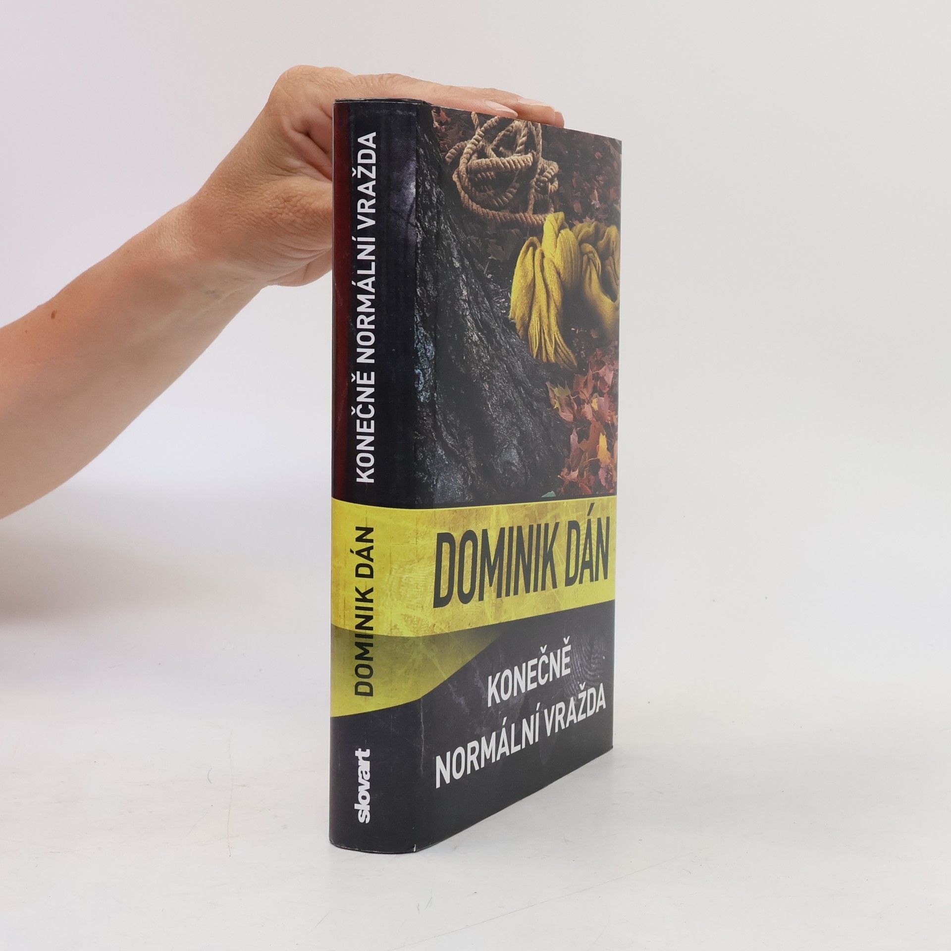 Dominik Dán Konečně normální vražda