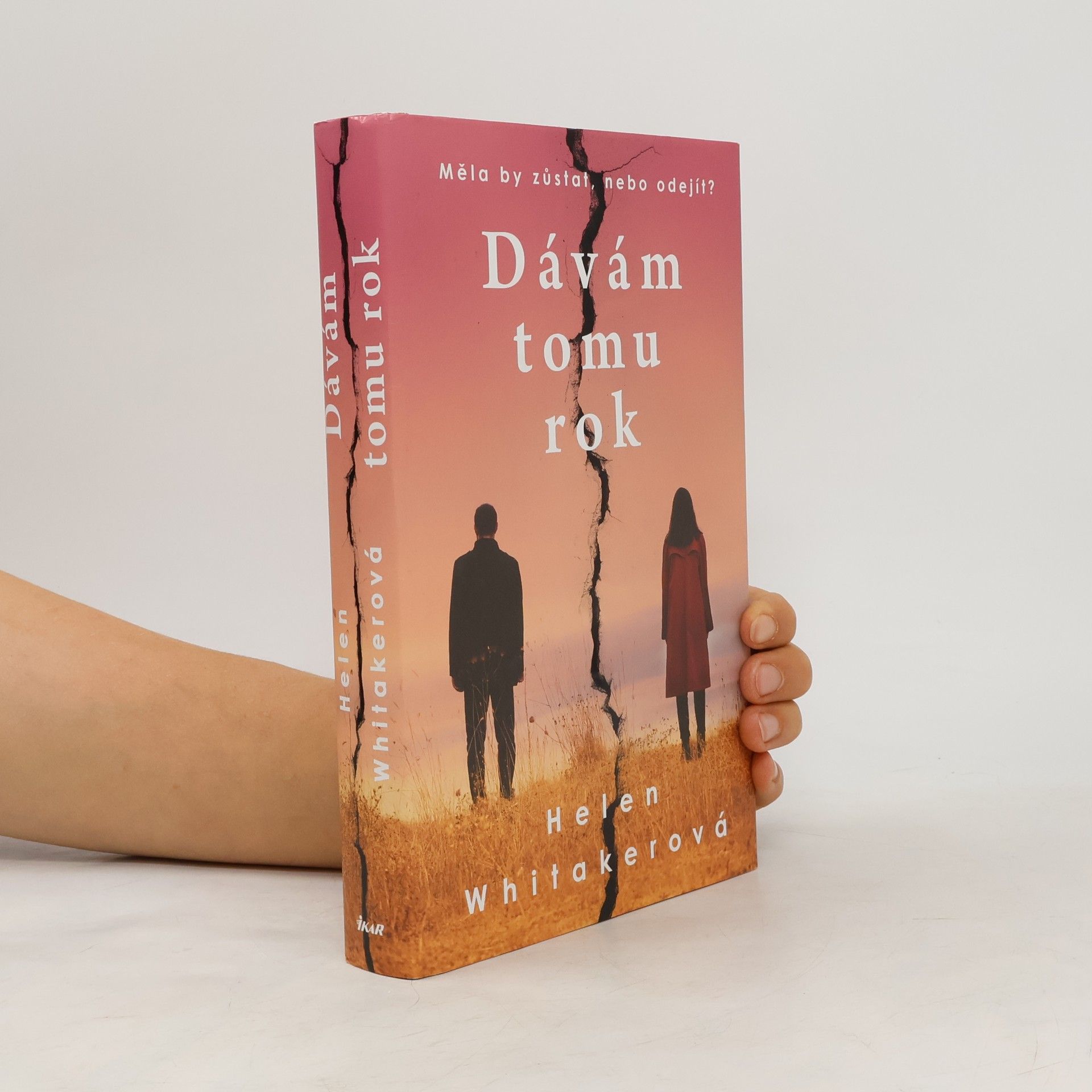 Helen Whitaker Dávám tomu rok