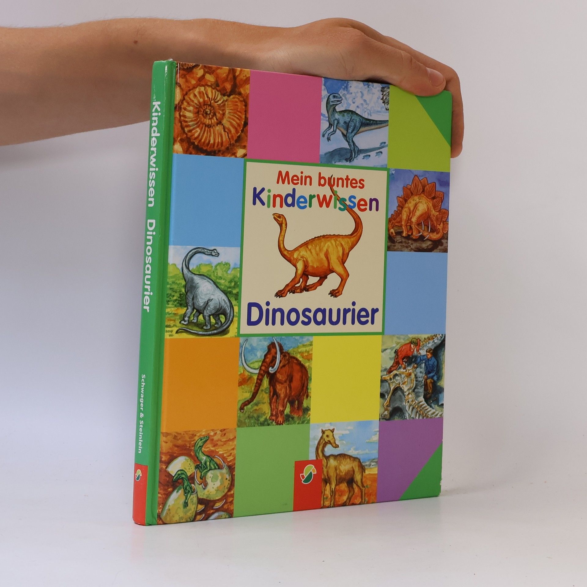 Autorenkollektiv Mein buntes Kinderwissen. Dinosaurier