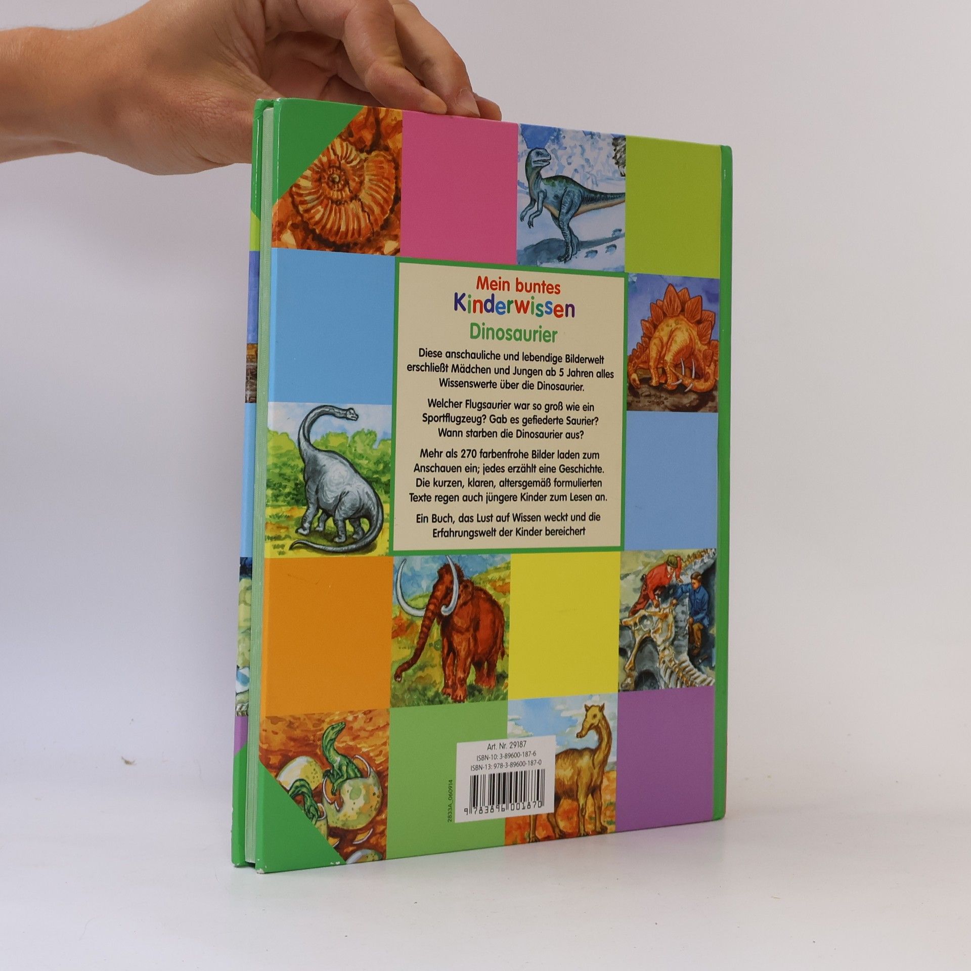 Autorenkollektiv Mein buntes Kinderwissen. Dinosaurier