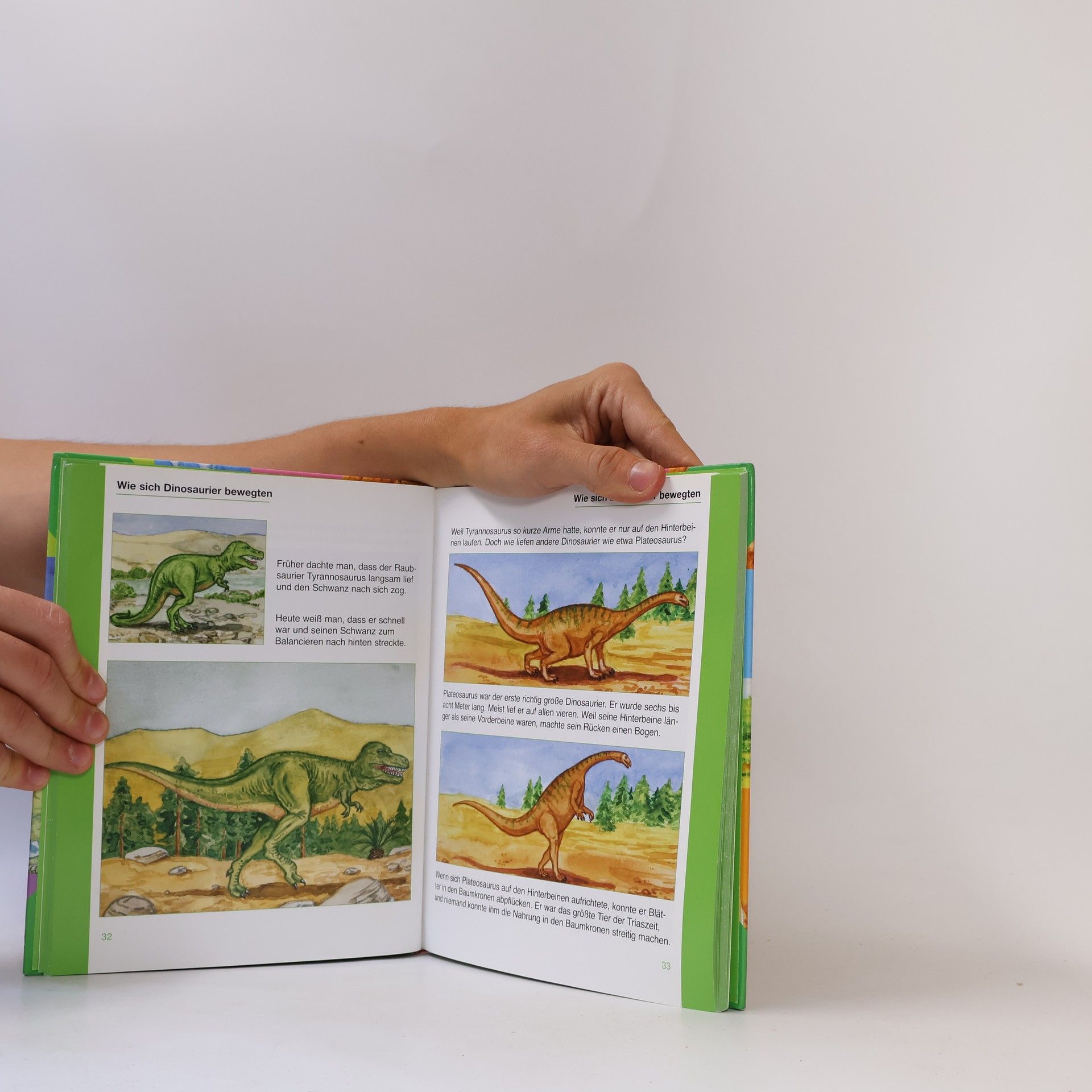 Autorenkollektiv Mein buntes Kinderwissen. Dinosaurier