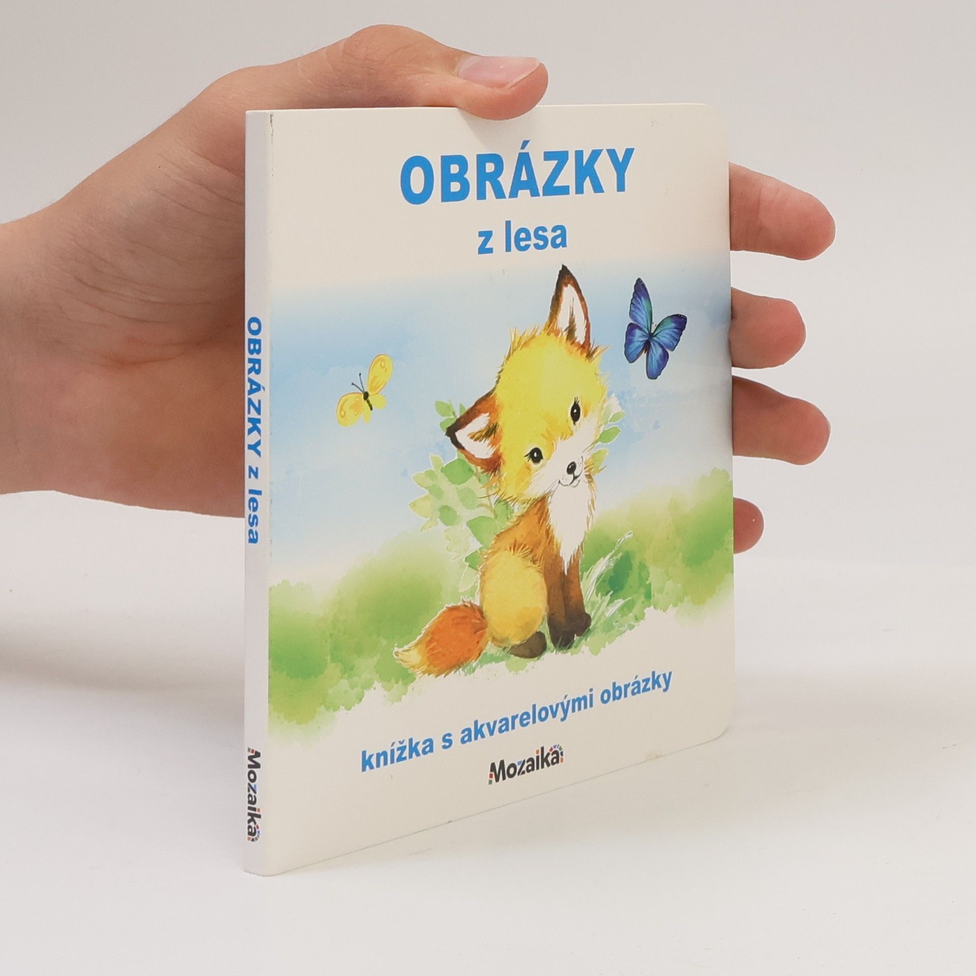 Autorenkollektiv Obrázky z lesa