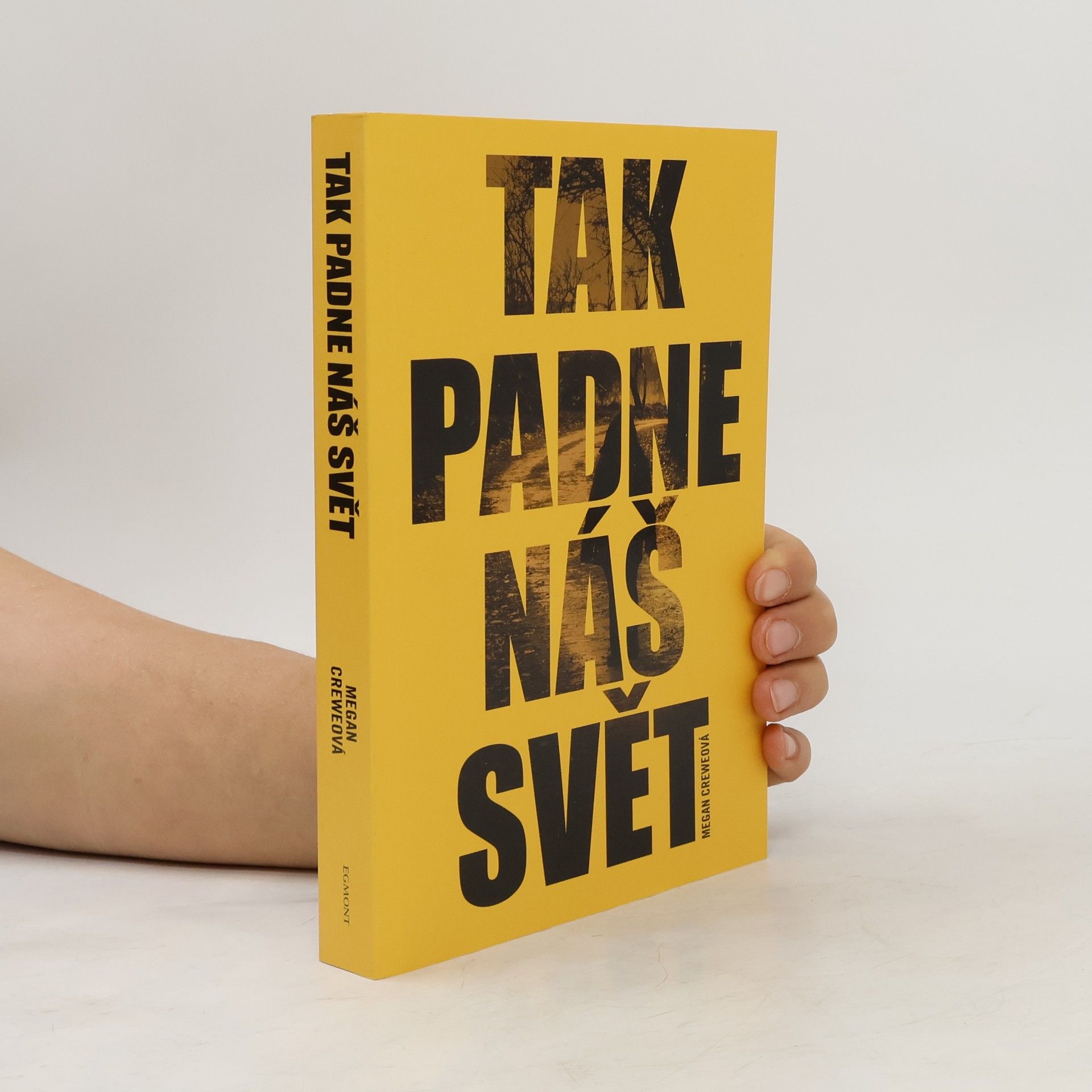 Megan Crewe Tak padne náš svět