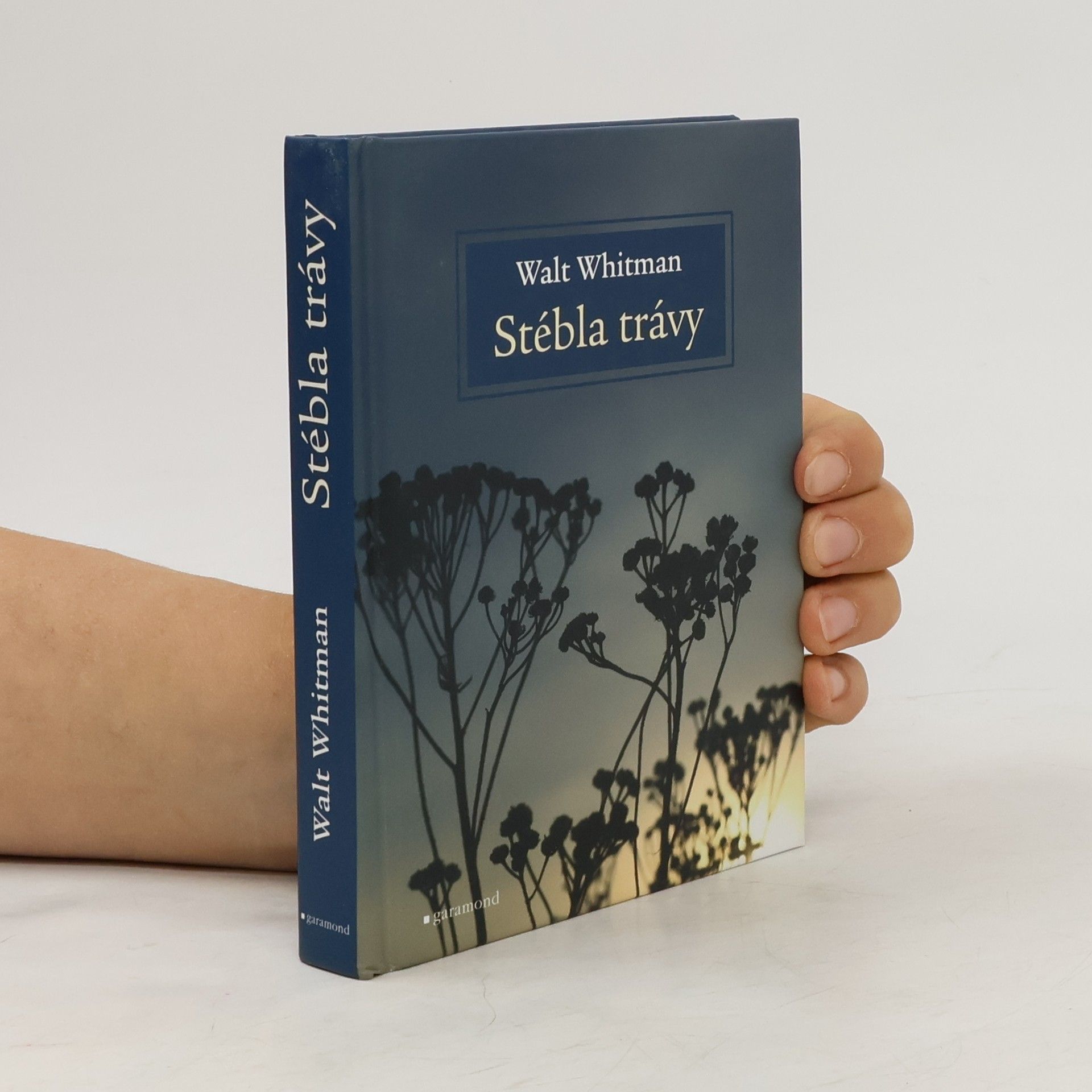 Stébla trávy