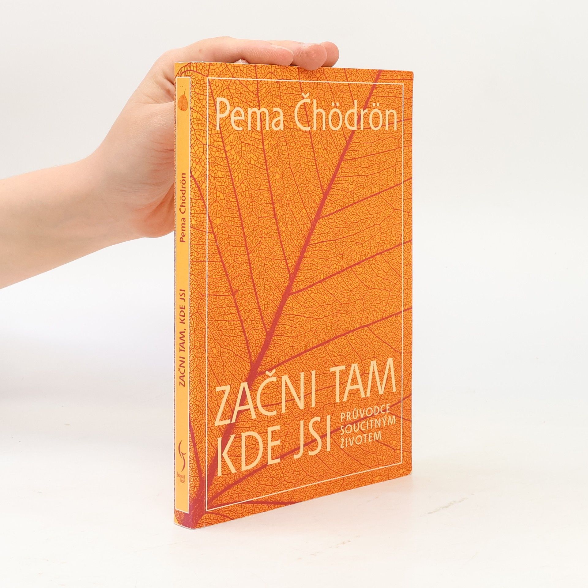 Pema Chödrön Začni tam, kde jsi: Průvodce soucitným životem
