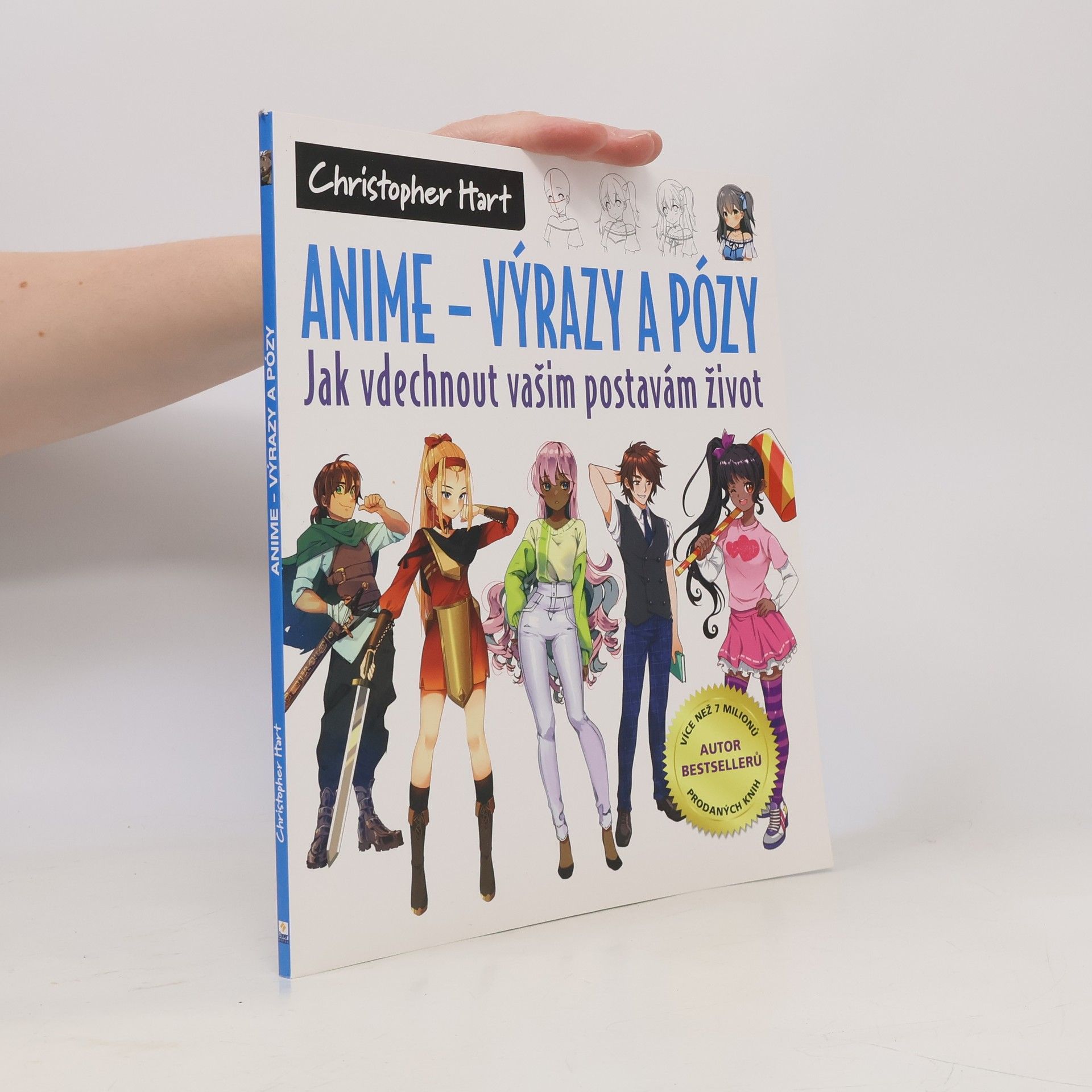 Petr Schorm Anime - výrazy a pózy