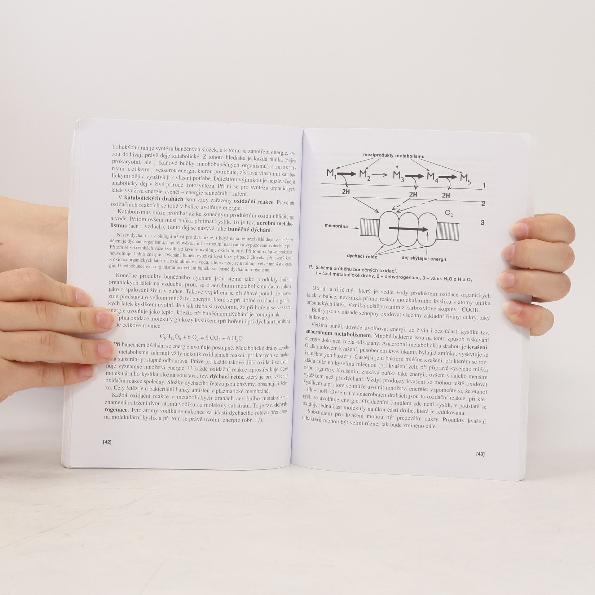 Václav Kubišta Obecná biologie. Úvodní učební text biologie pro 1. ročník gymnázií