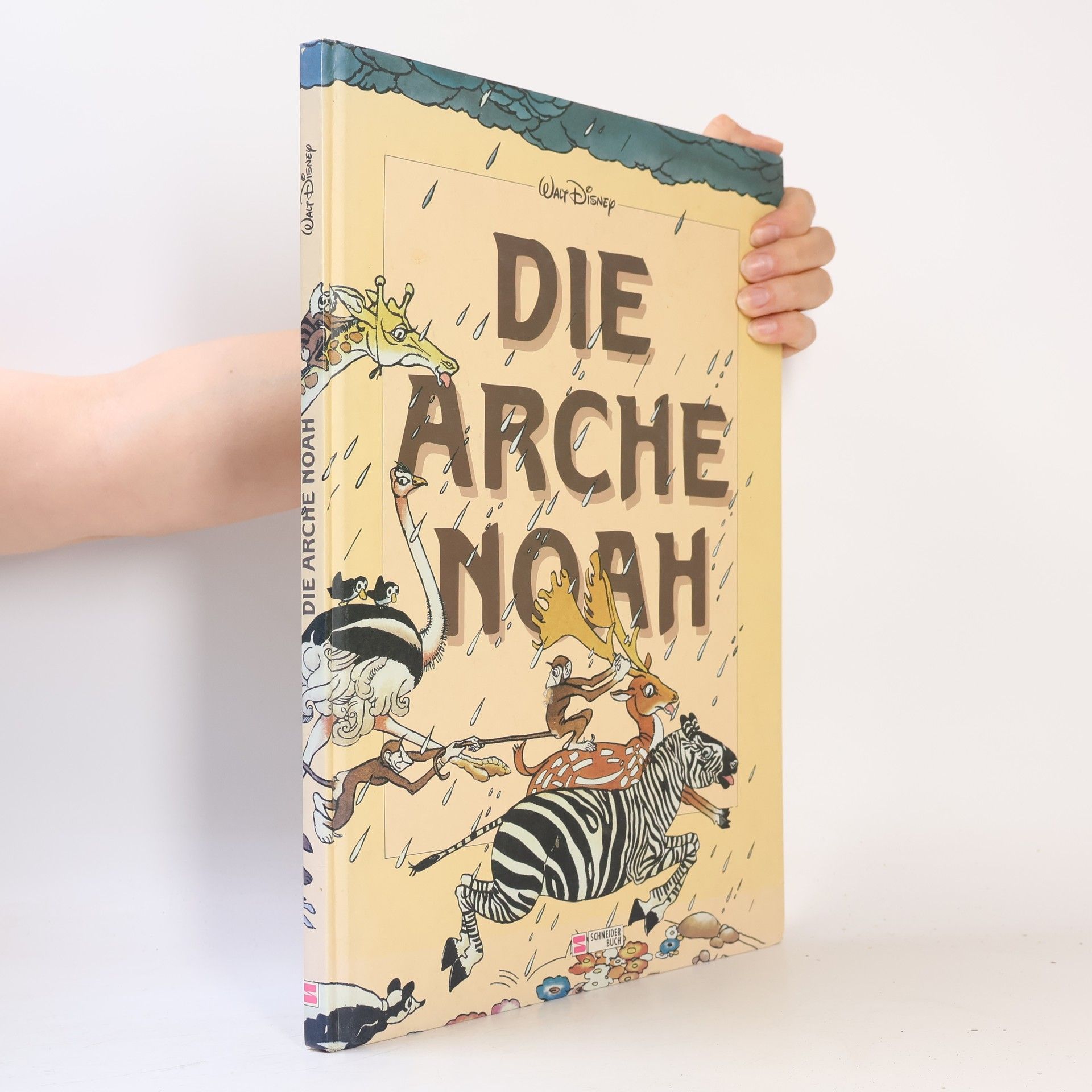 Meryl Doney Die Arche Noah