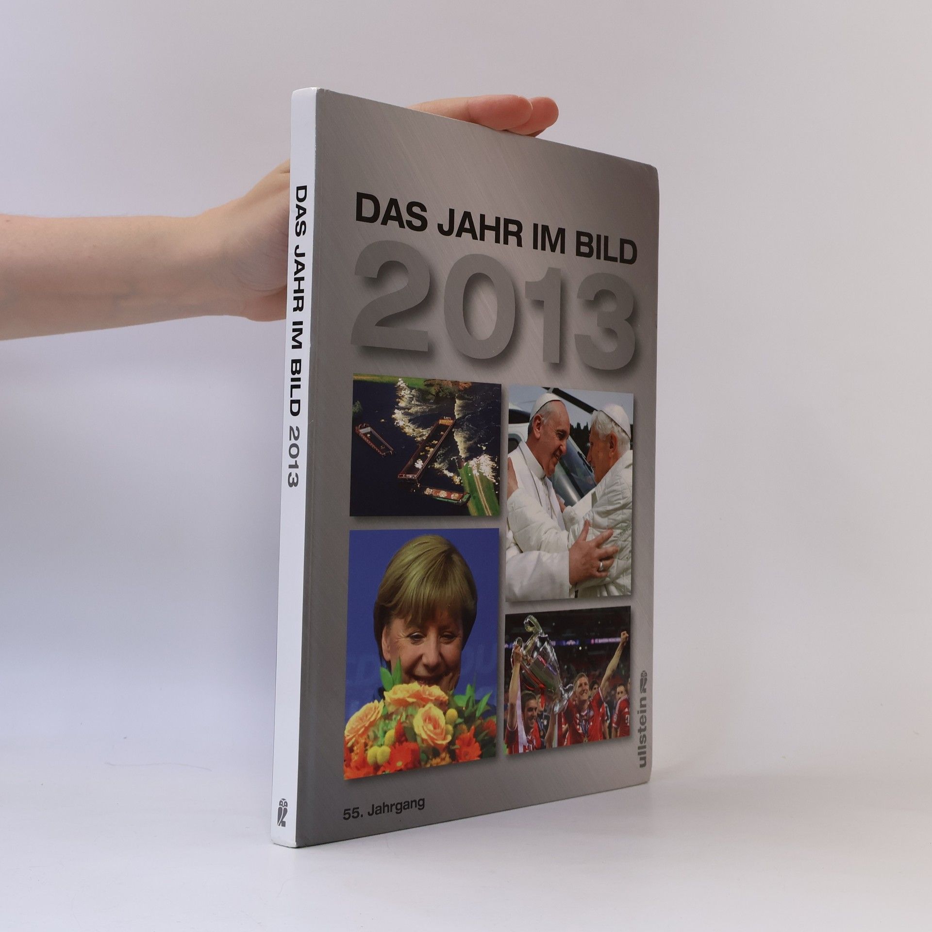 Autorenkollektiv Das Jahr im Bild 2013