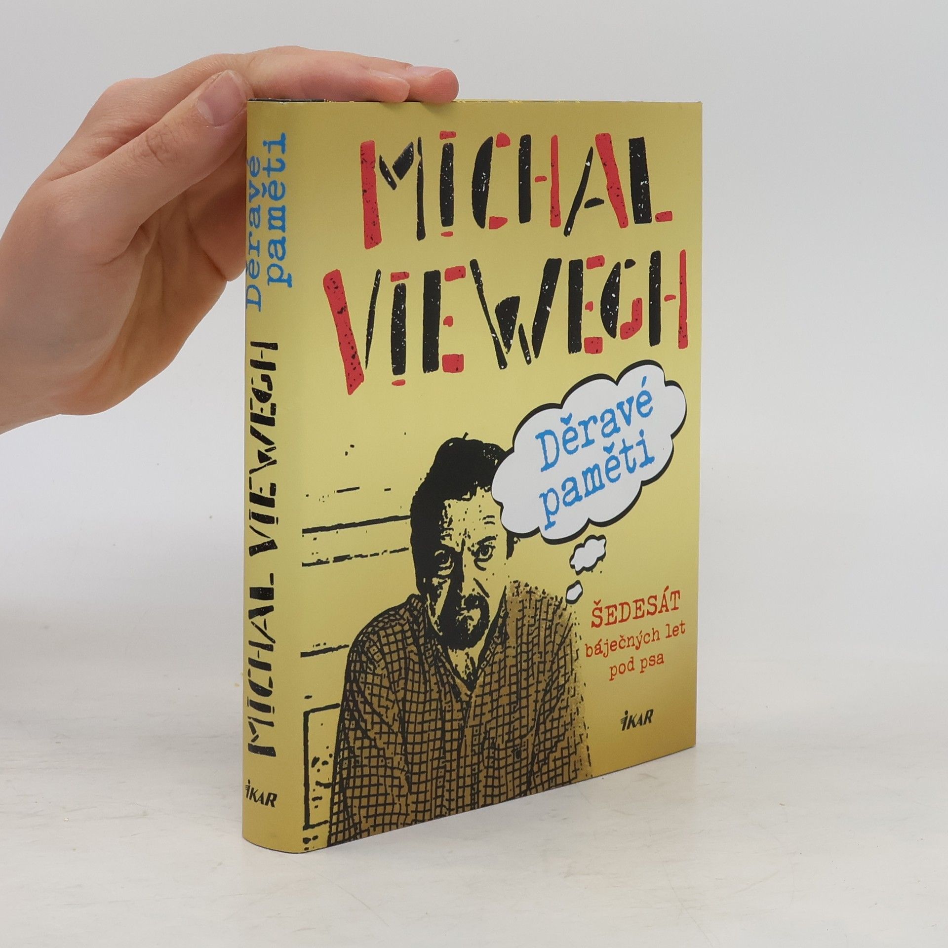 Michal Viewegh Děravé paměti
