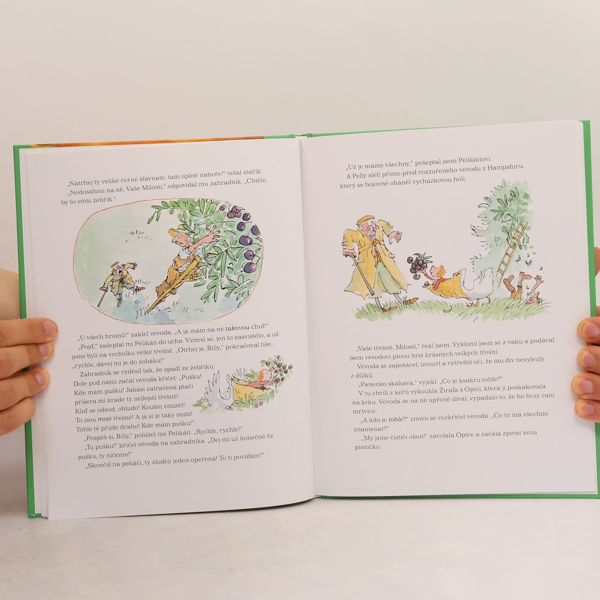 Roald Dahl Žirafa, pelikán a já