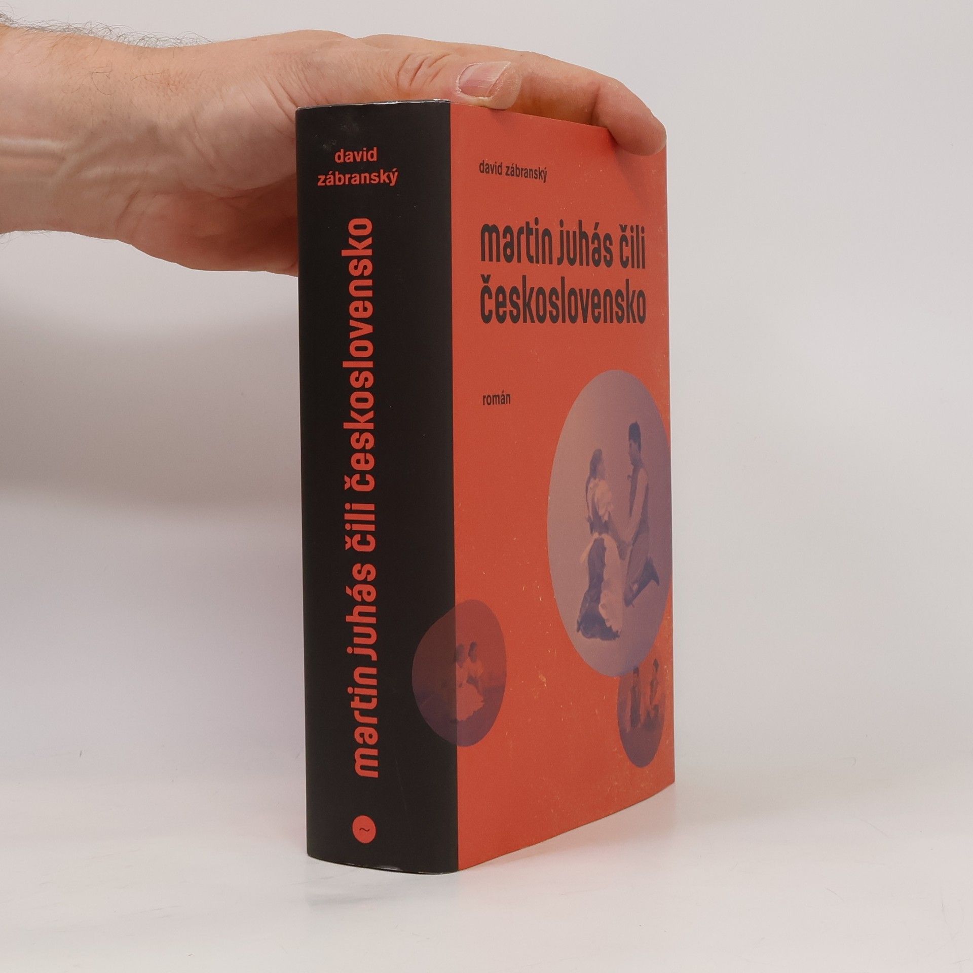 David Zábranský Martin Juhás, čili, Československo : román