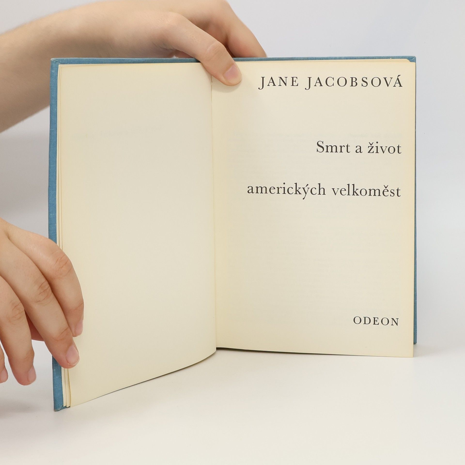 Jane Jacobs Smrt a život amerických velkoměst