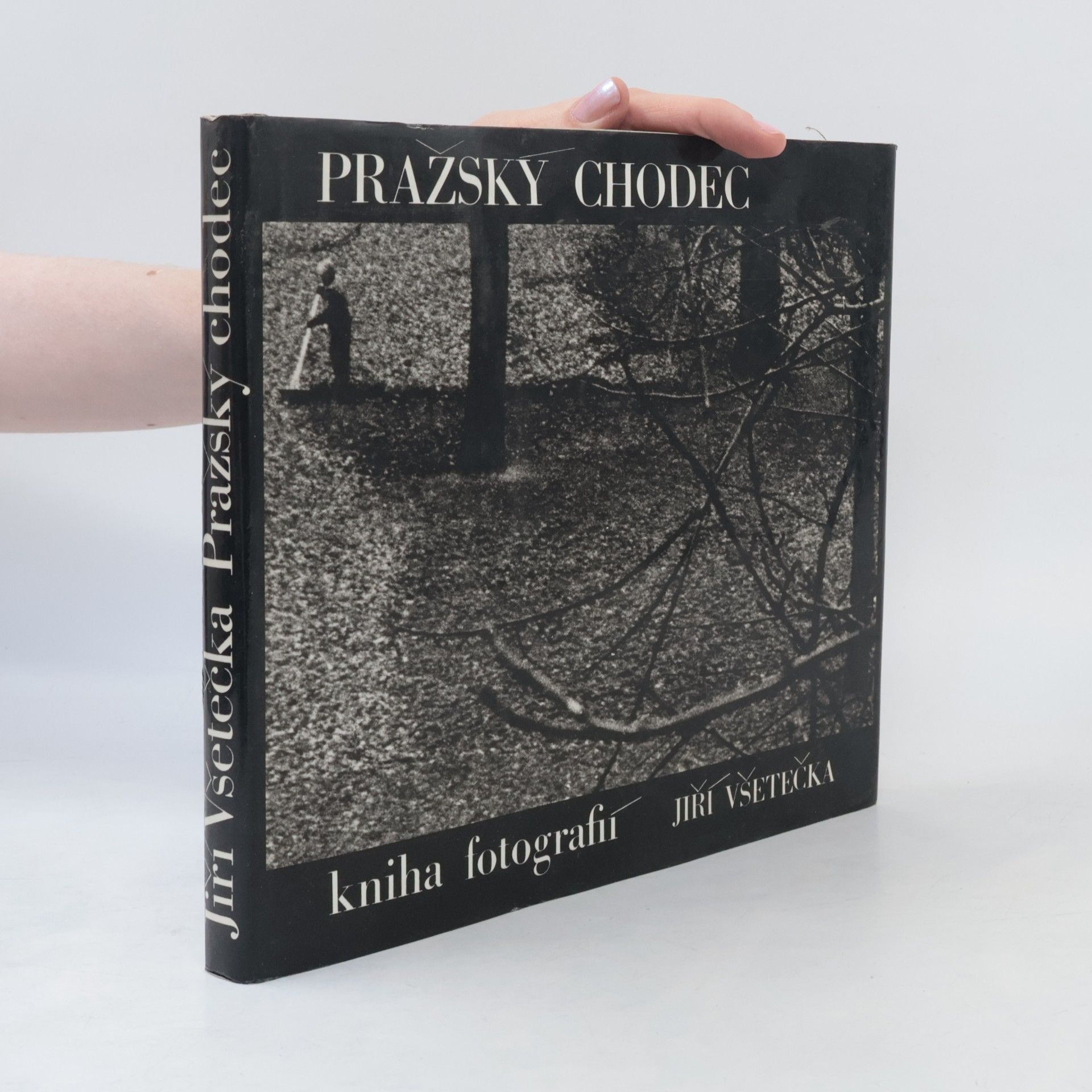 Jiří Všetečka Pražský chodec