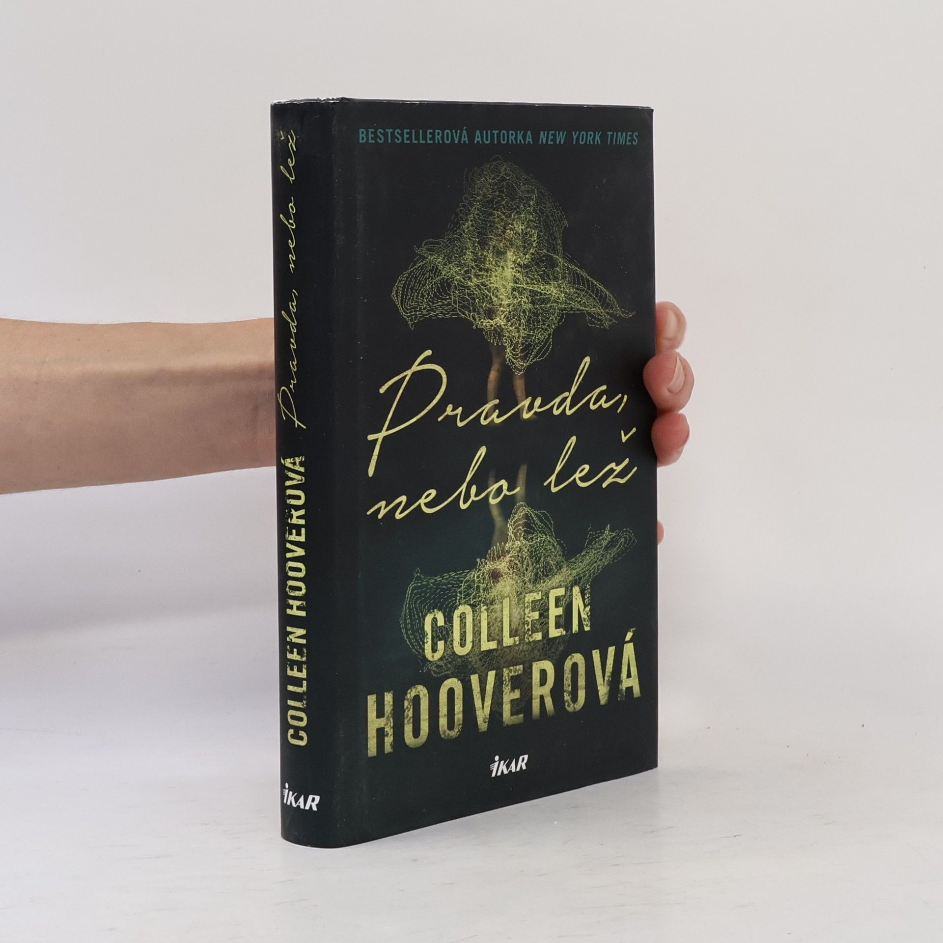 Colleen Hoover Pravda nebo lež