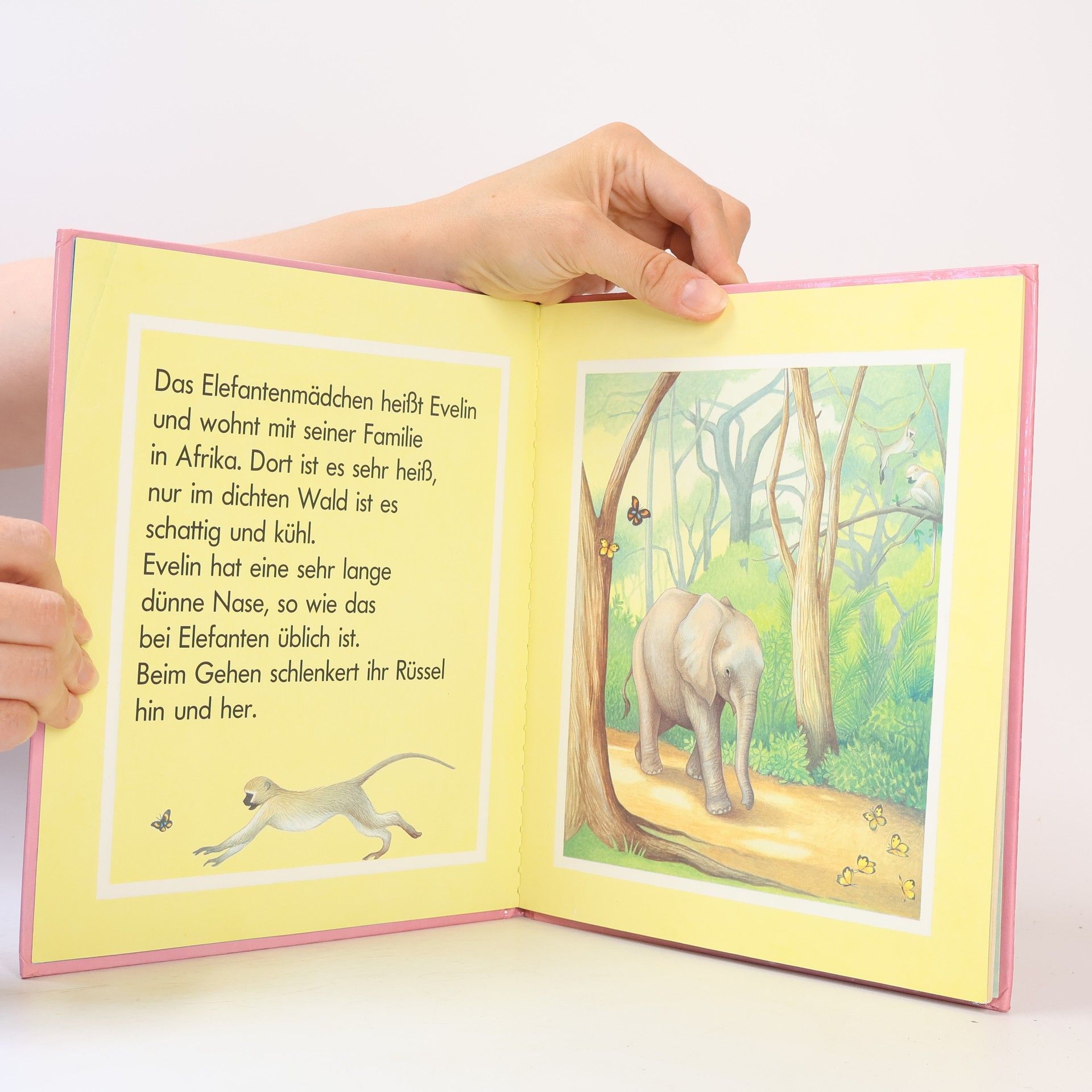 Sue Camm Ein Elefant mit Stupsnase?
