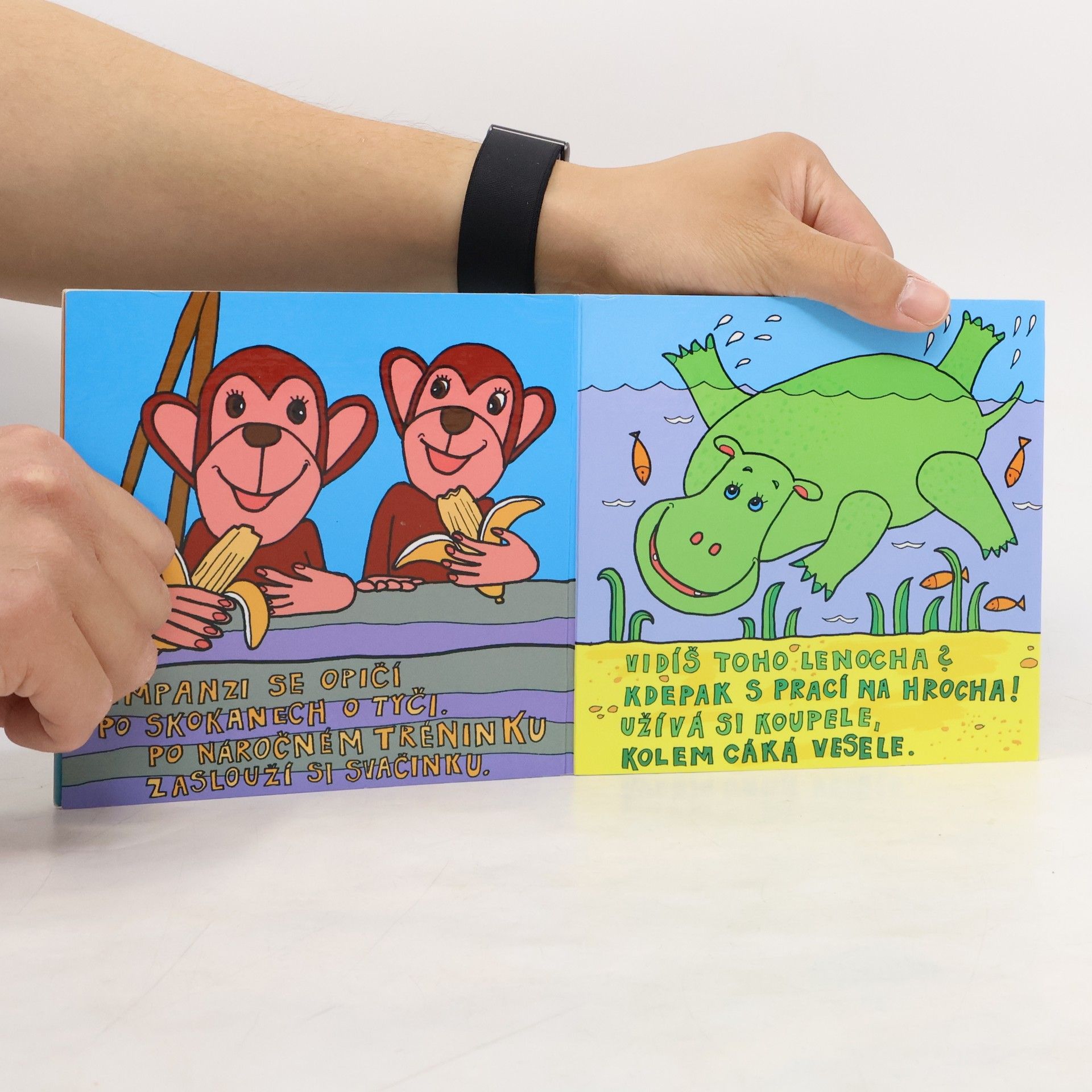 Josef Snětivý Zvířátka ze ZOO